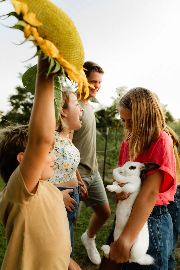  kids playing with sunflowers and bunnies 