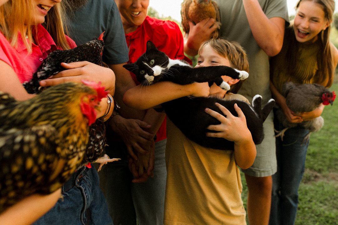  family holding chickens and cats 