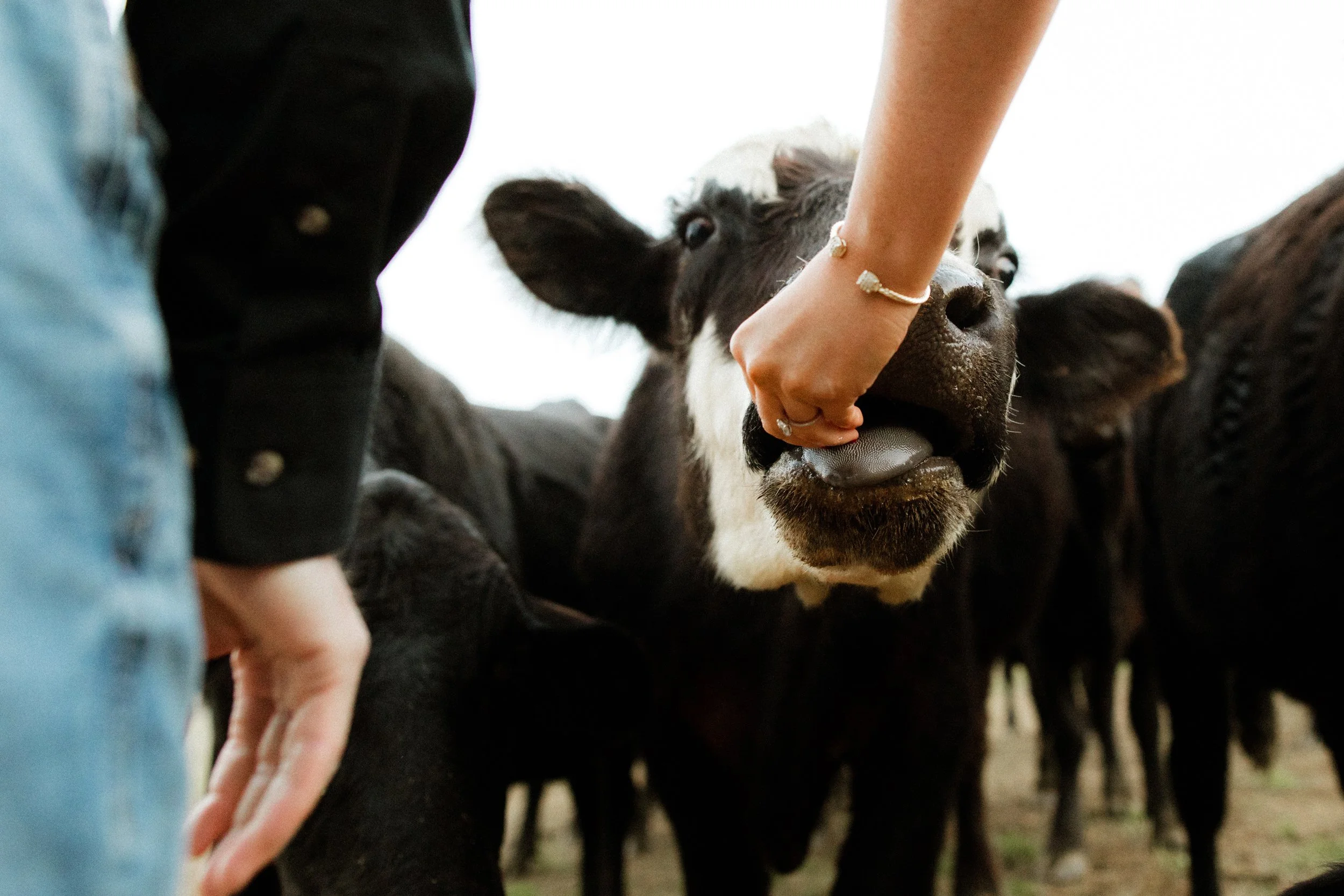 Engagement | Jade + Evan | Family Farm