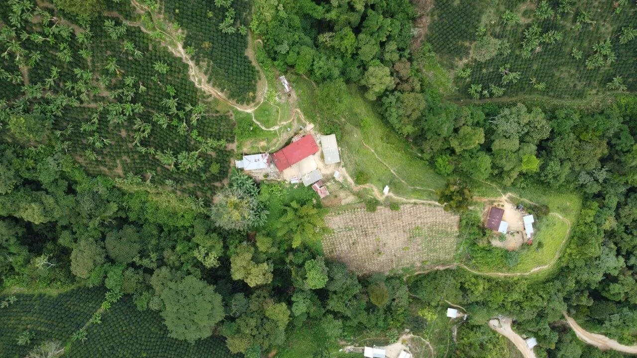 How can digitalization play a role in tackling climate change?