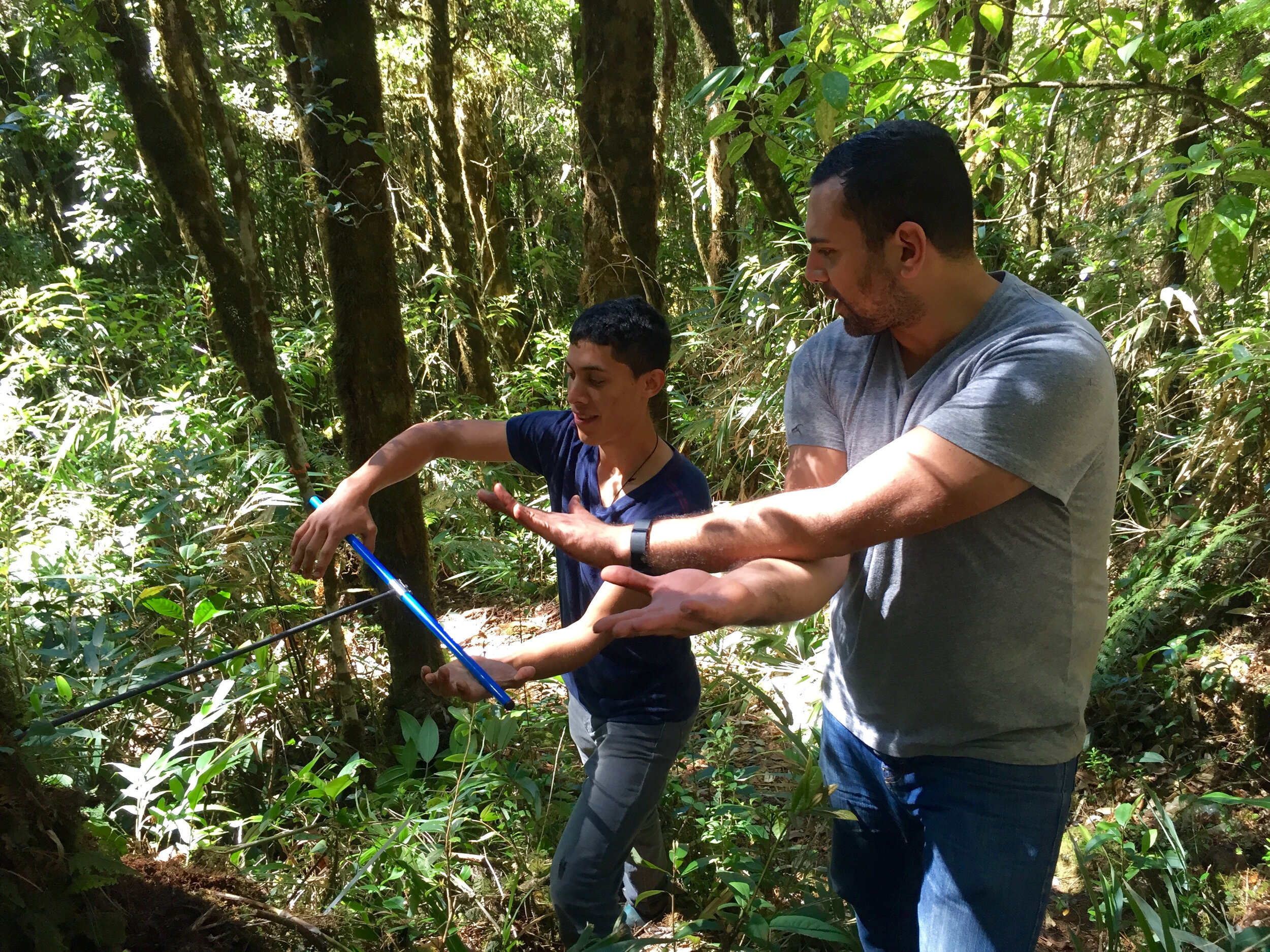 Three case studies in which digitization helps us fight climate change