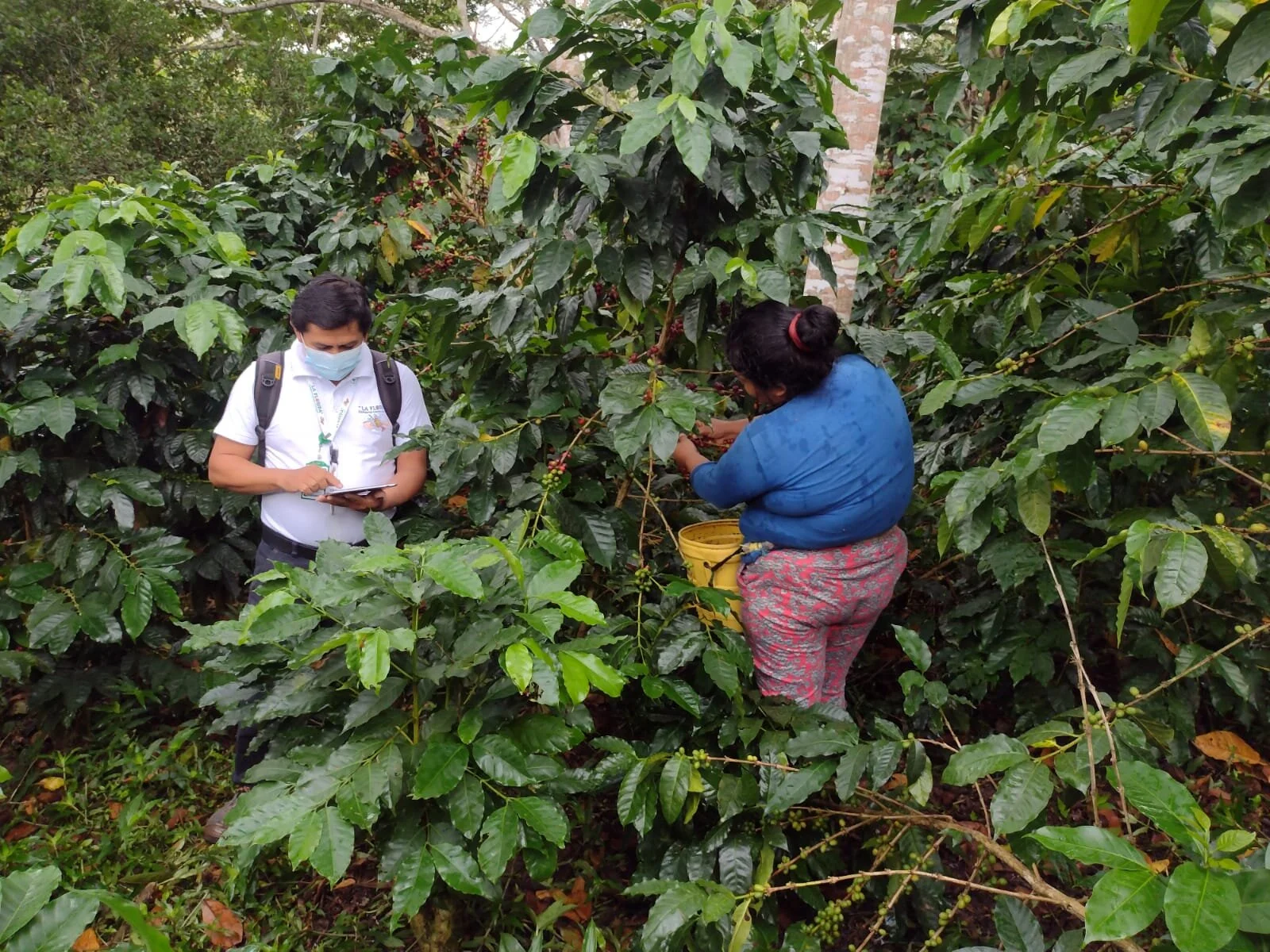 Cinco consejos para empezar a digitalizar sus cooperativas