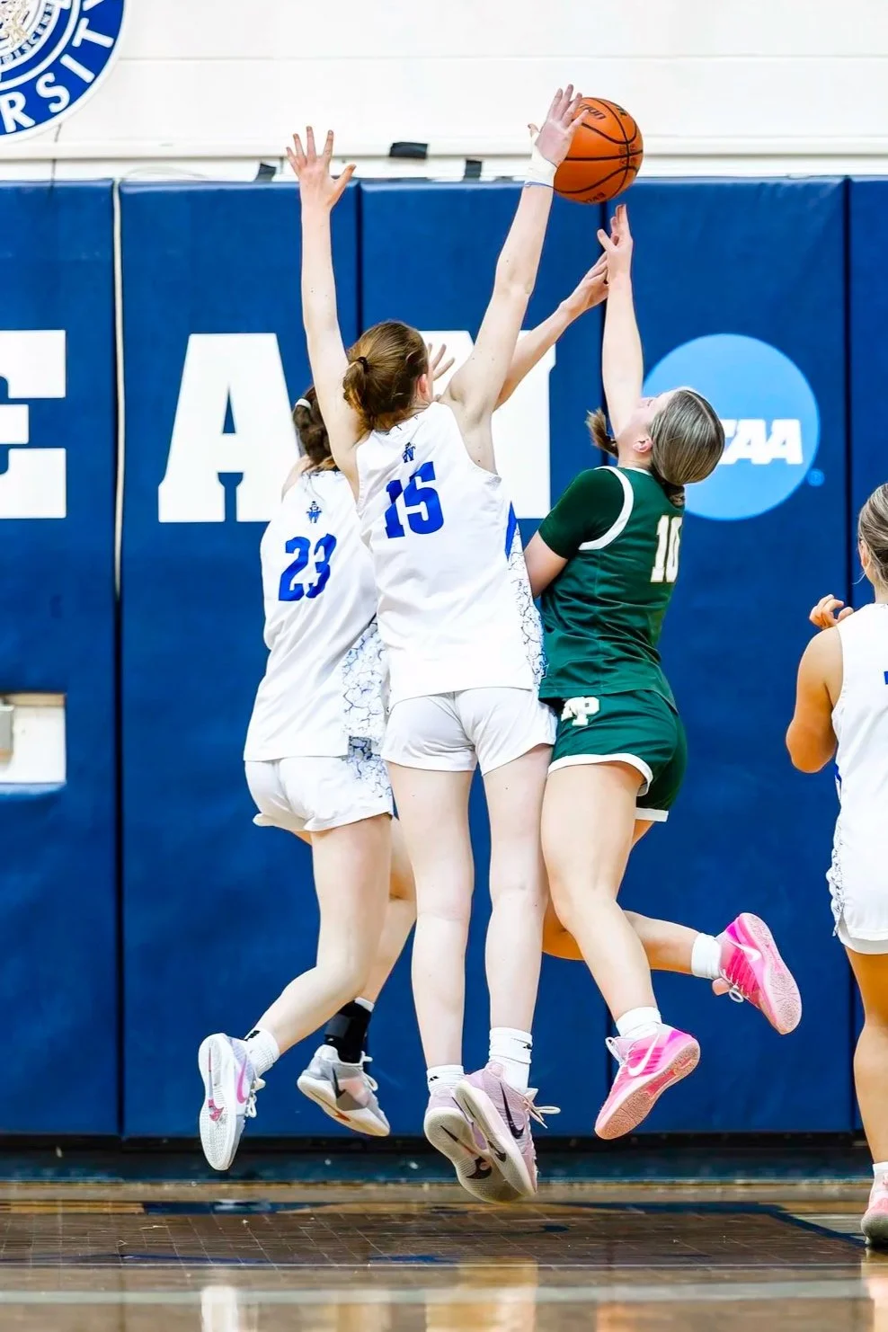 2026221-WHS+GBBall+v+NP+County+Final+63797.jpg