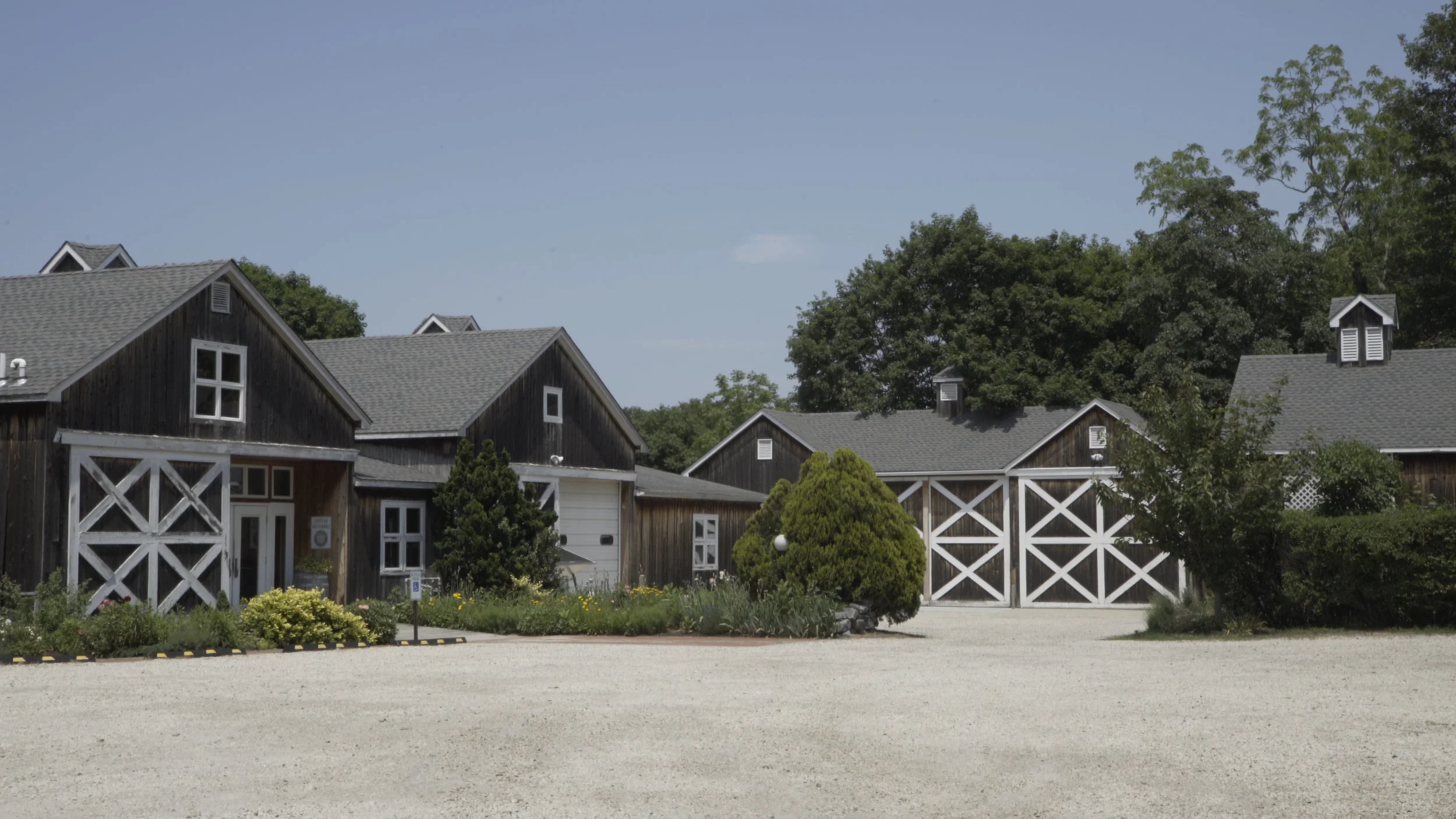 vineyard entrance 1.jpg