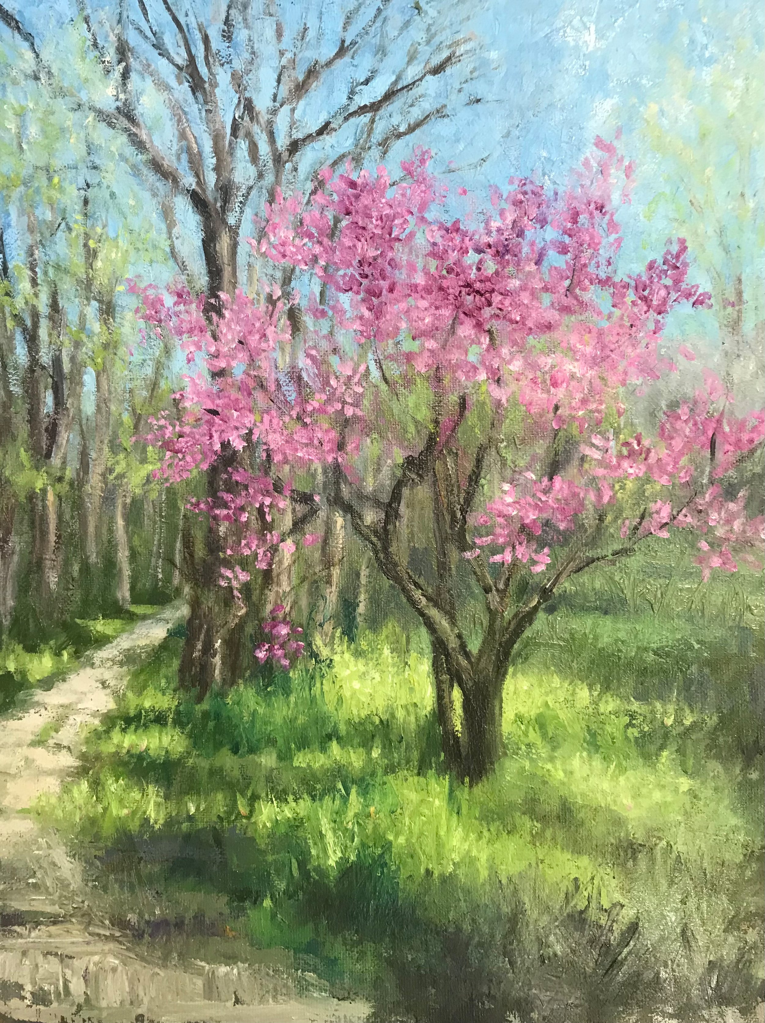 redbud spring.jpg