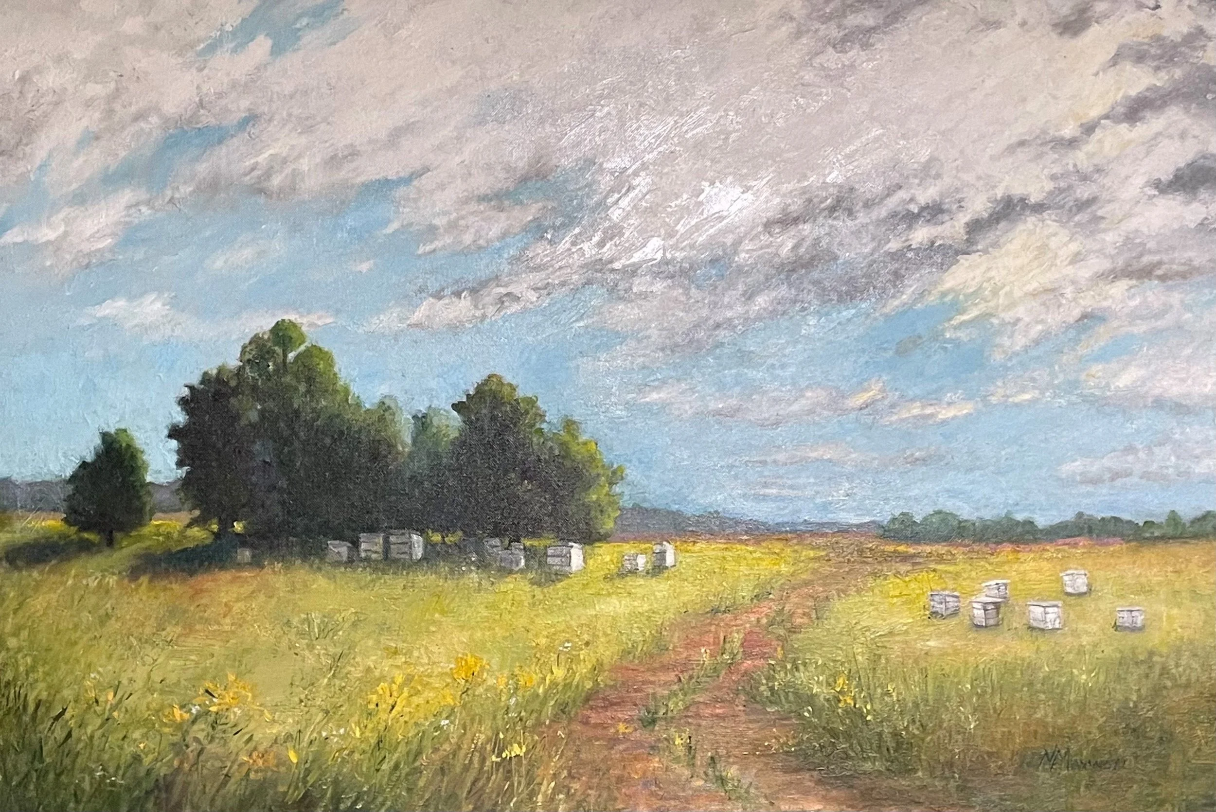 summer skies.jpg