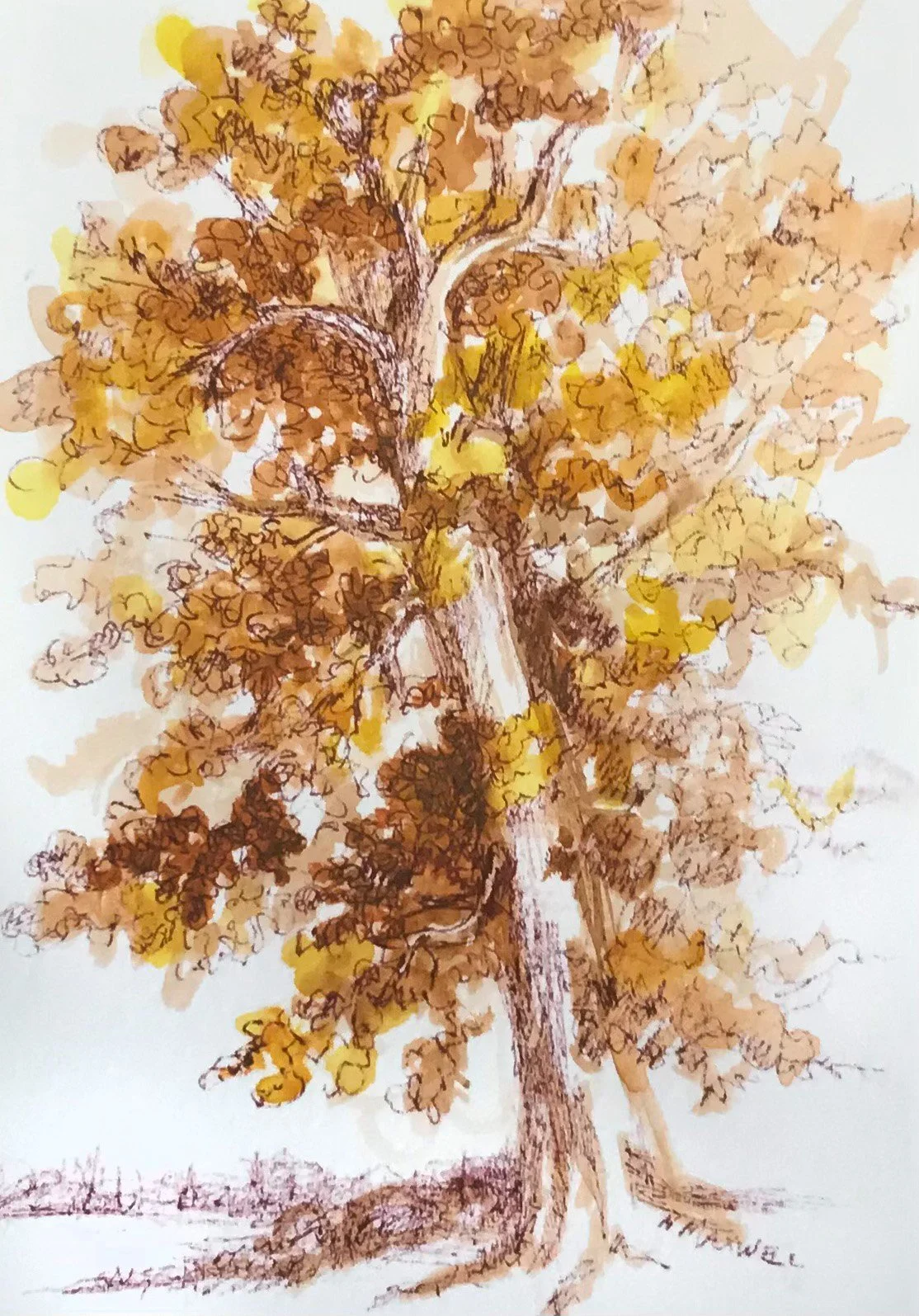 Golden Oak.jpg