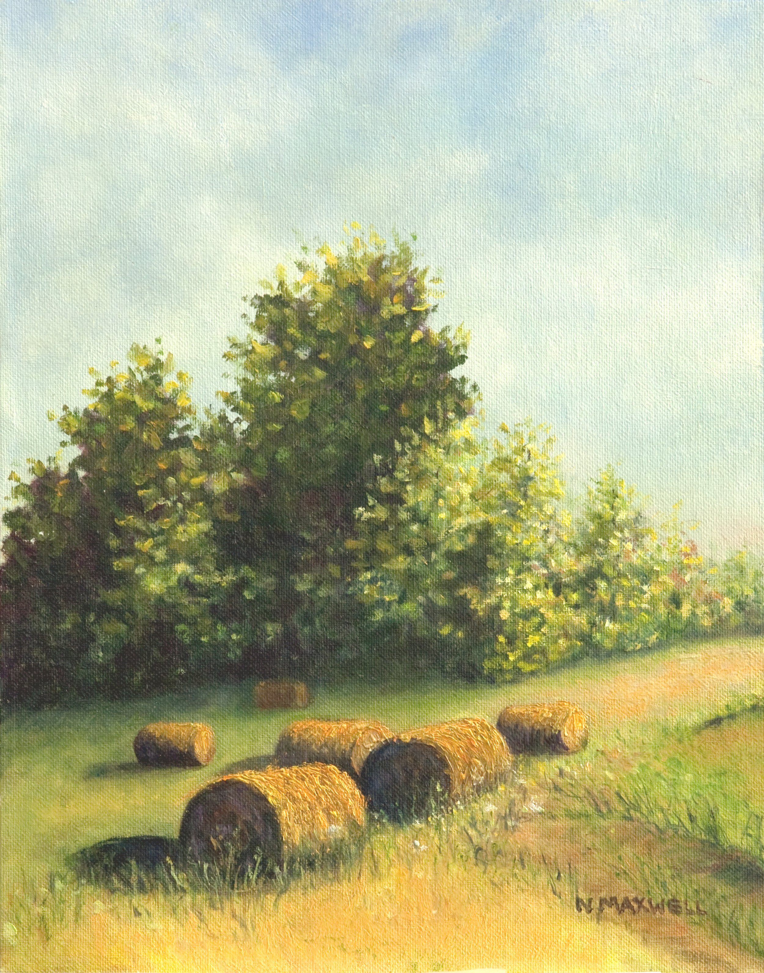 Summer Pastures.jpg