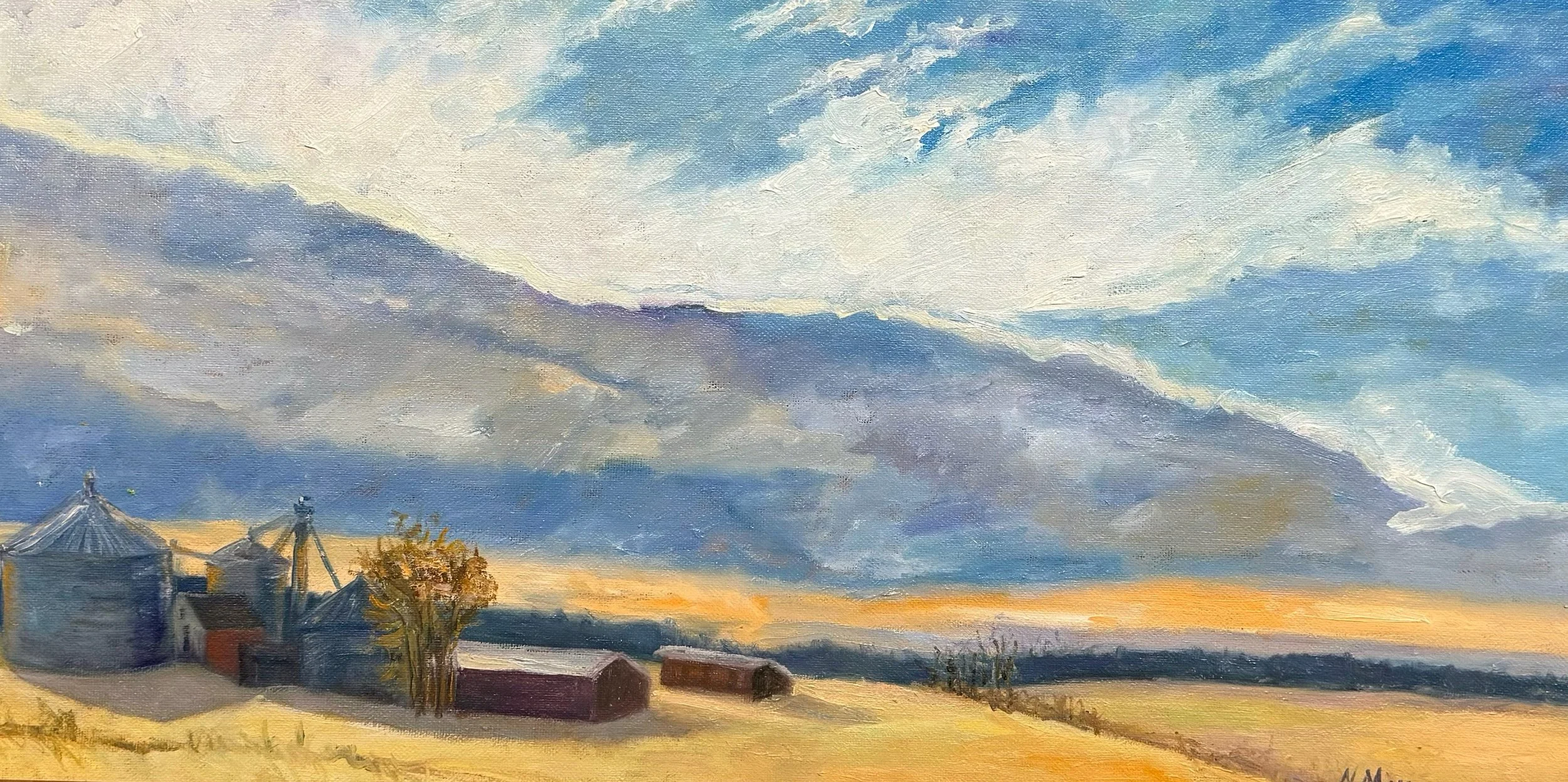 After the Storm.jpg