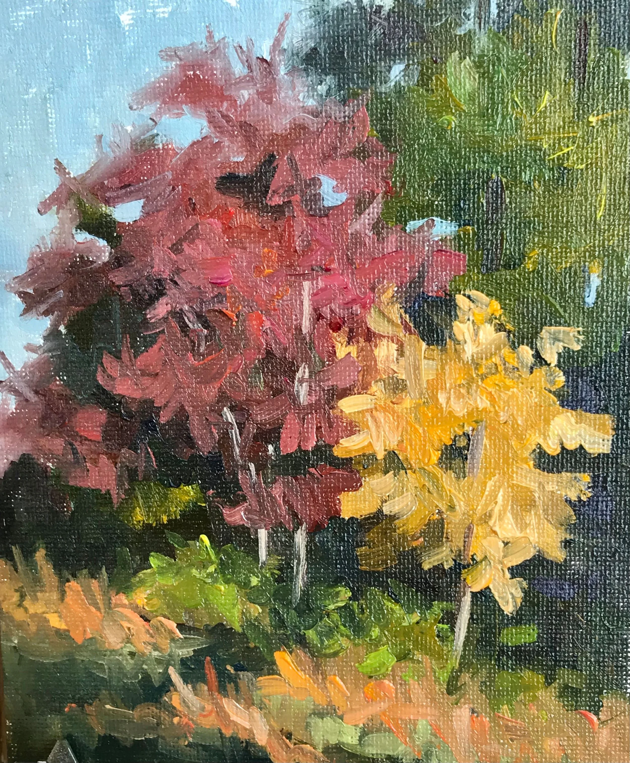 fall glory.jpg