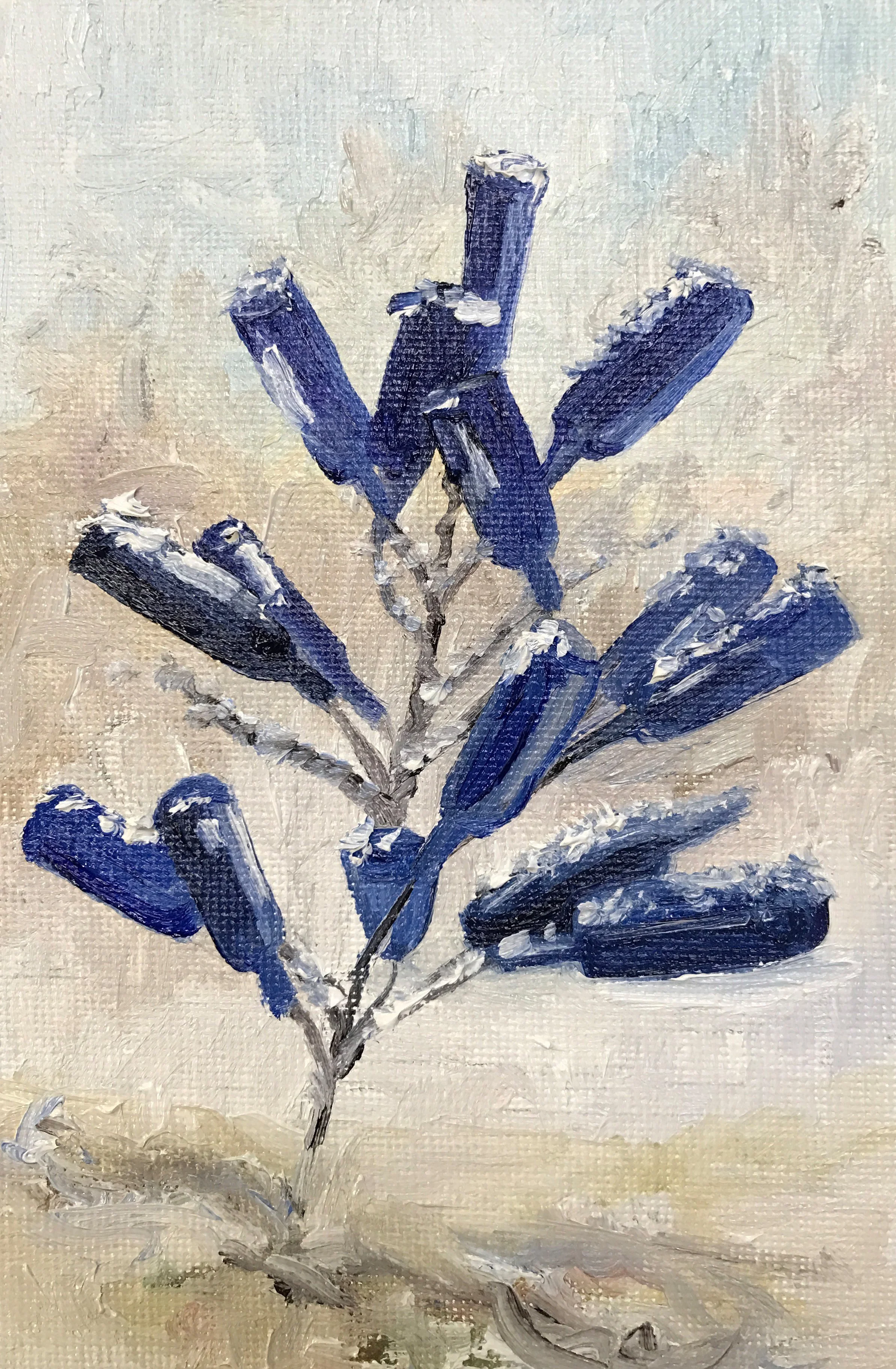blue bottle tree.jpg