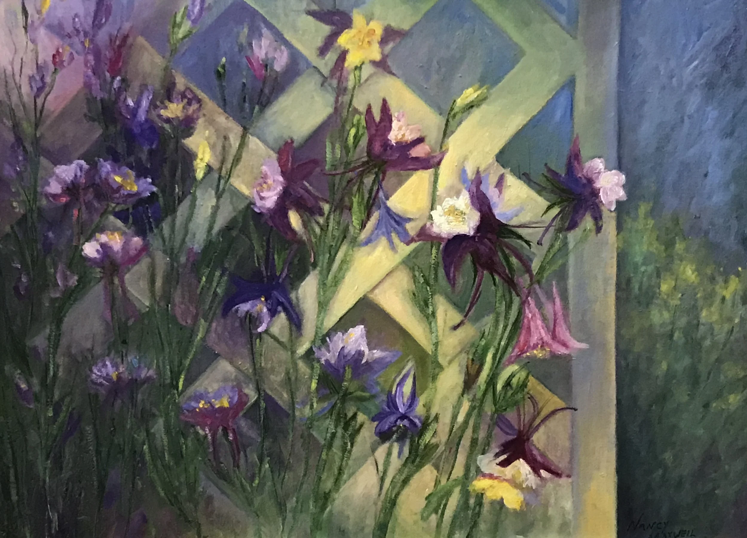 Columbine Summer