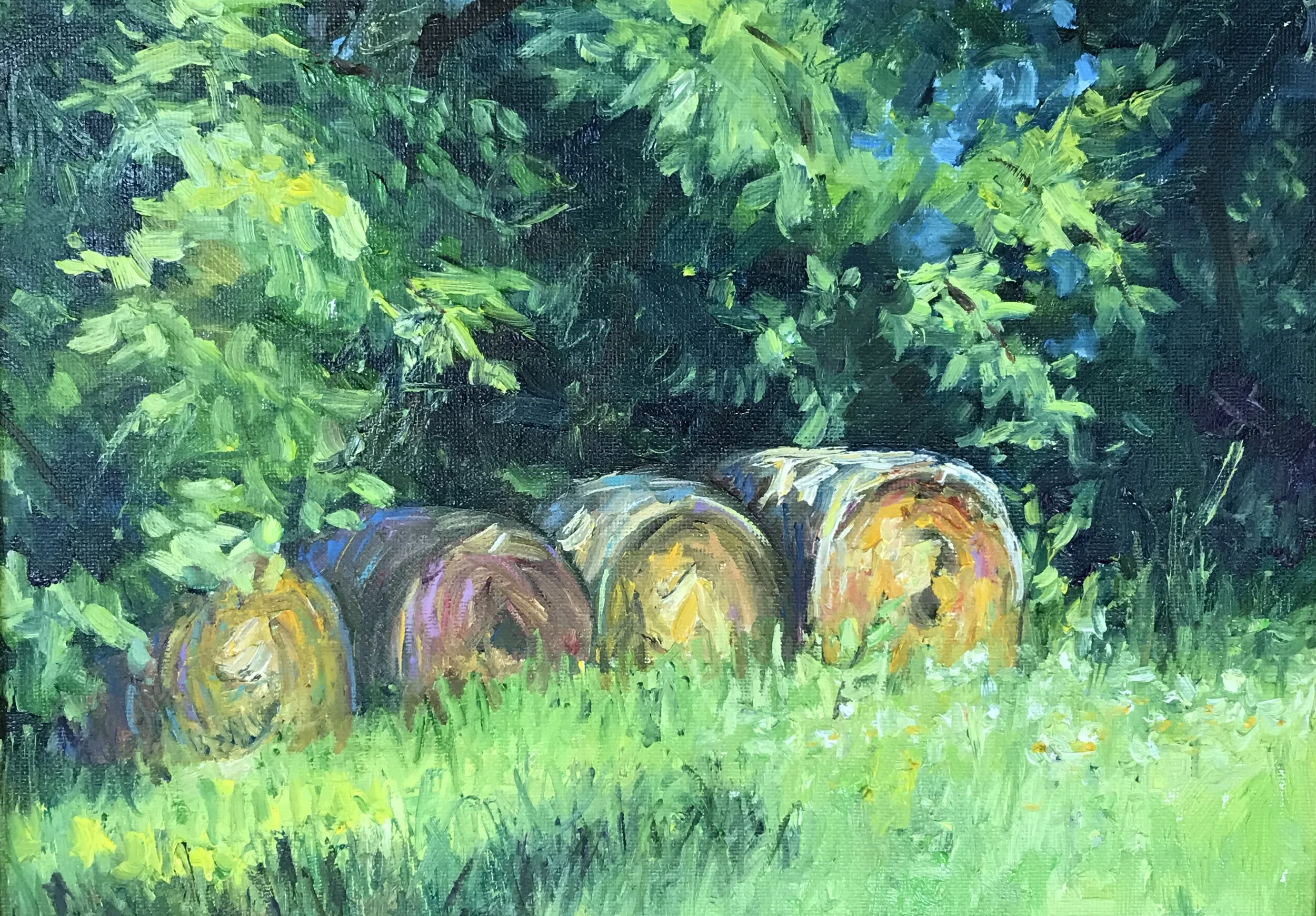 Summer Bales