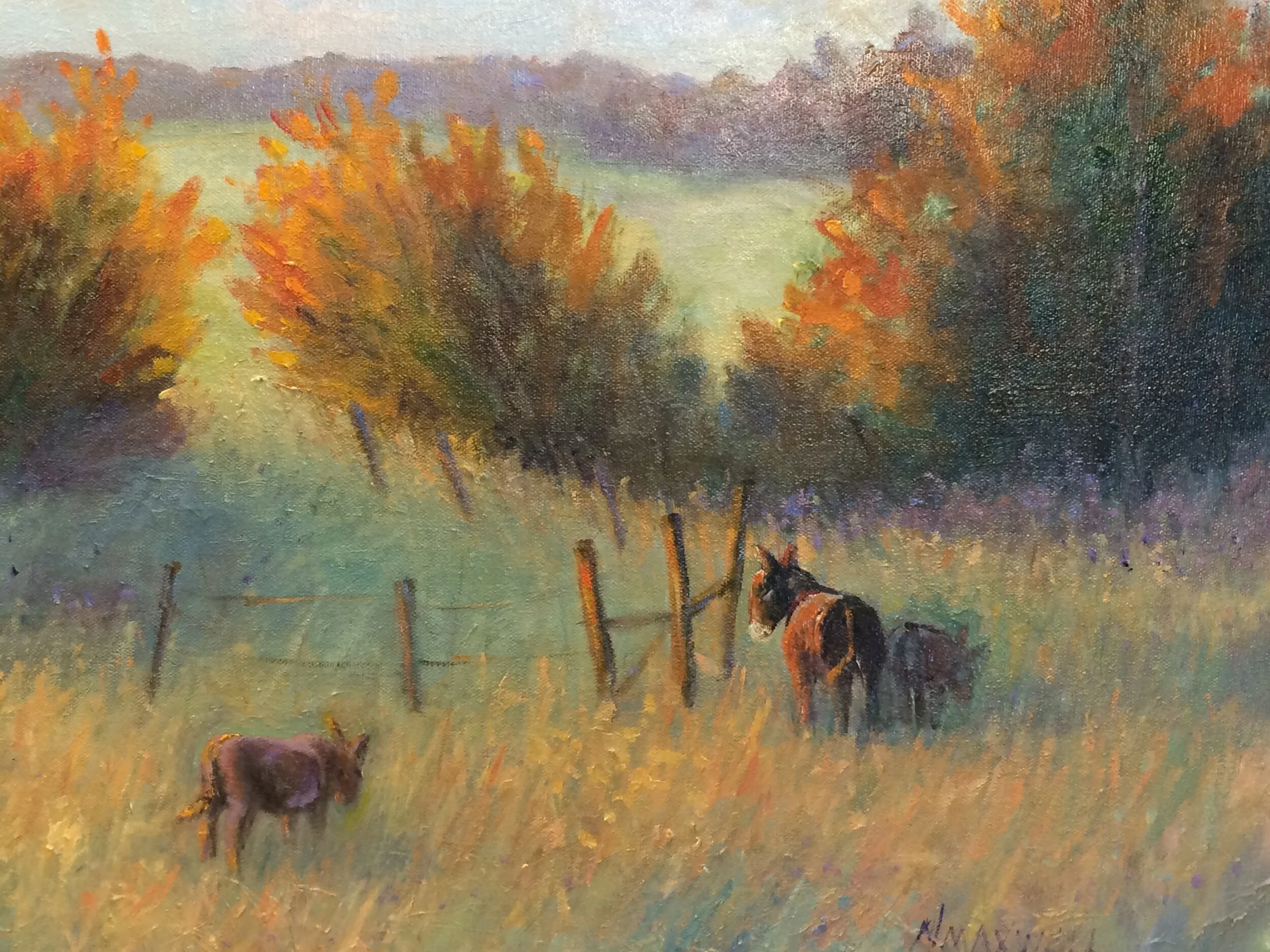 Evening Sun; Coming Home
SOLD; Cards and Prints available 
