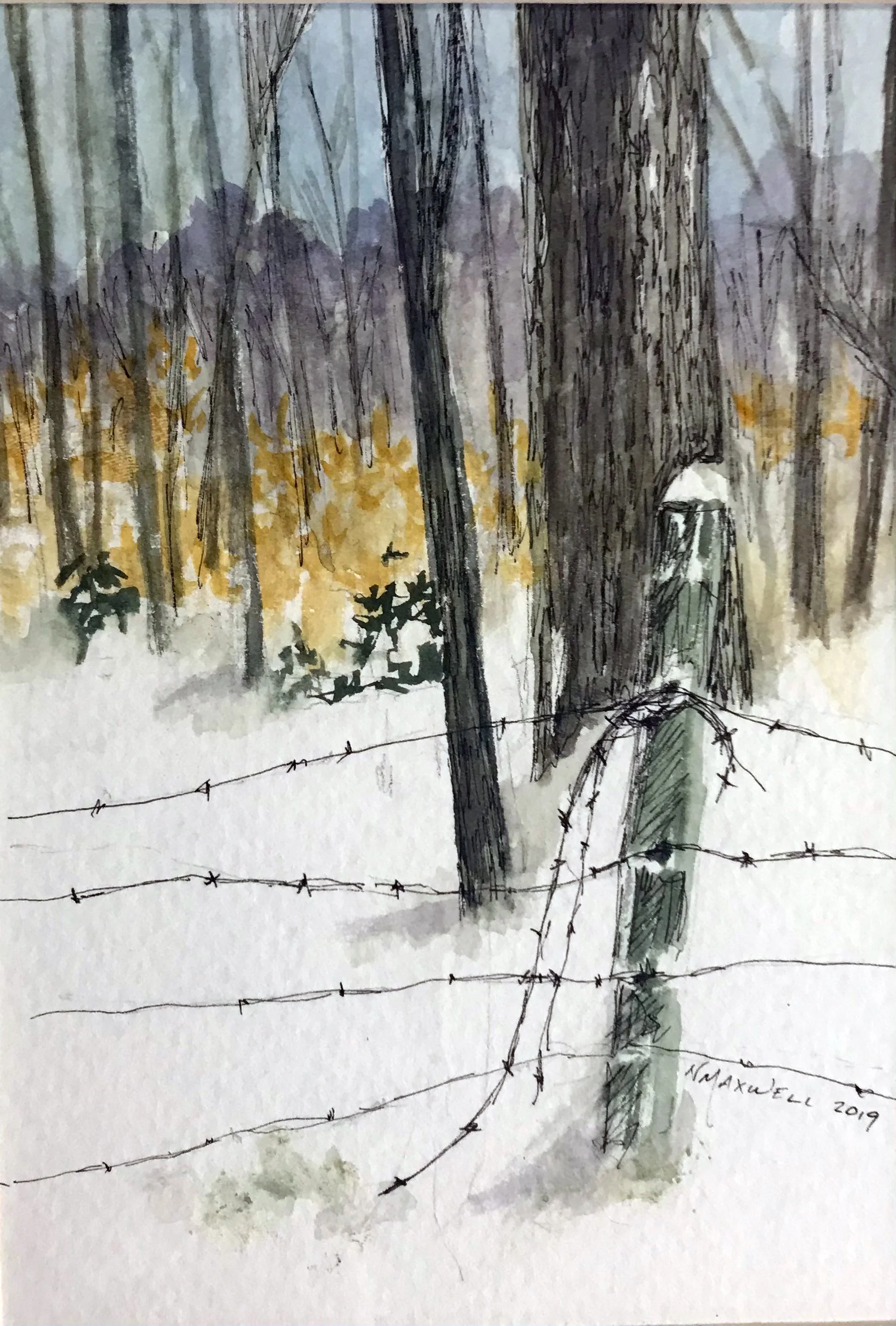 winter fence line.jpg