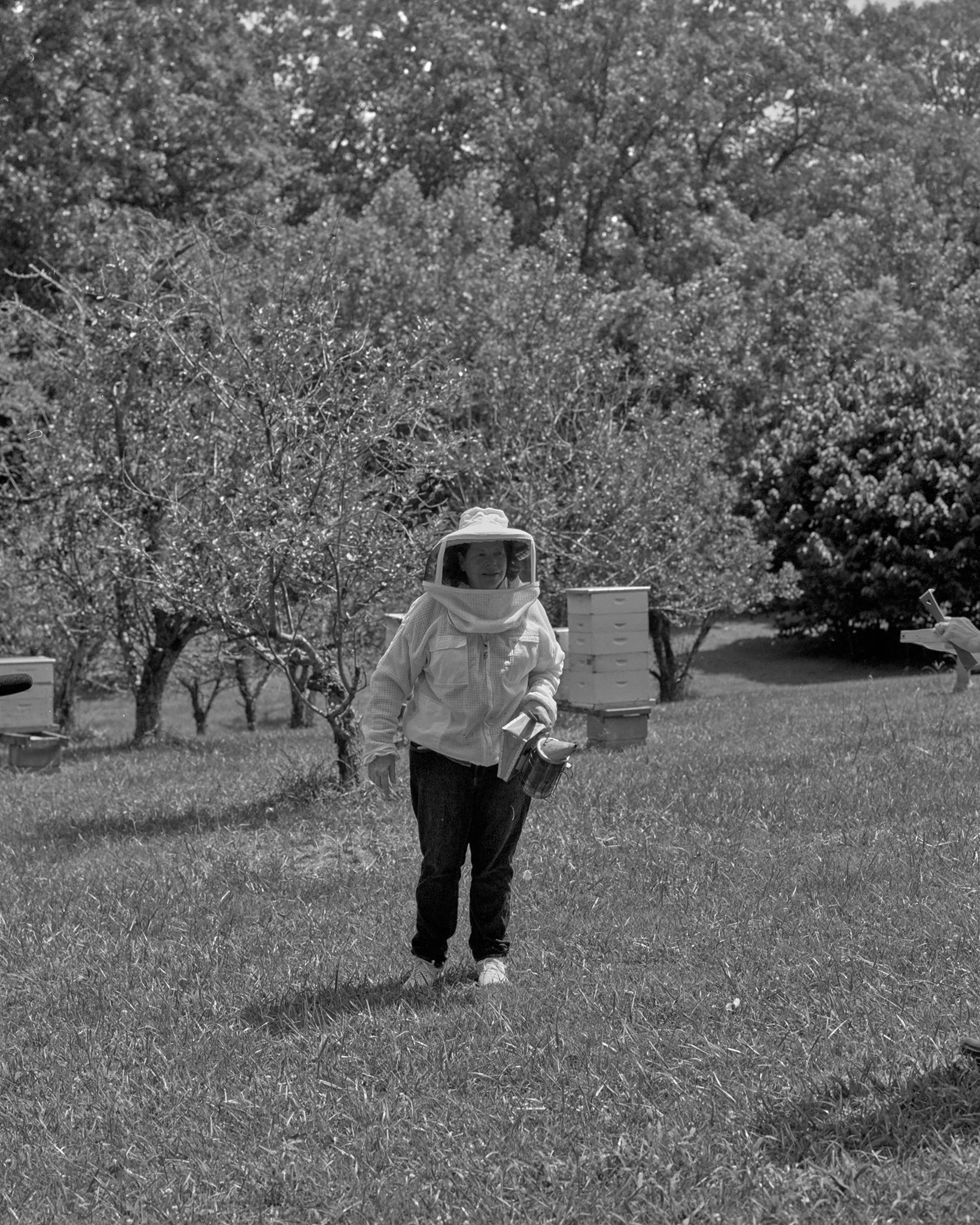 Savannah Bee Co. Film 12.jpg