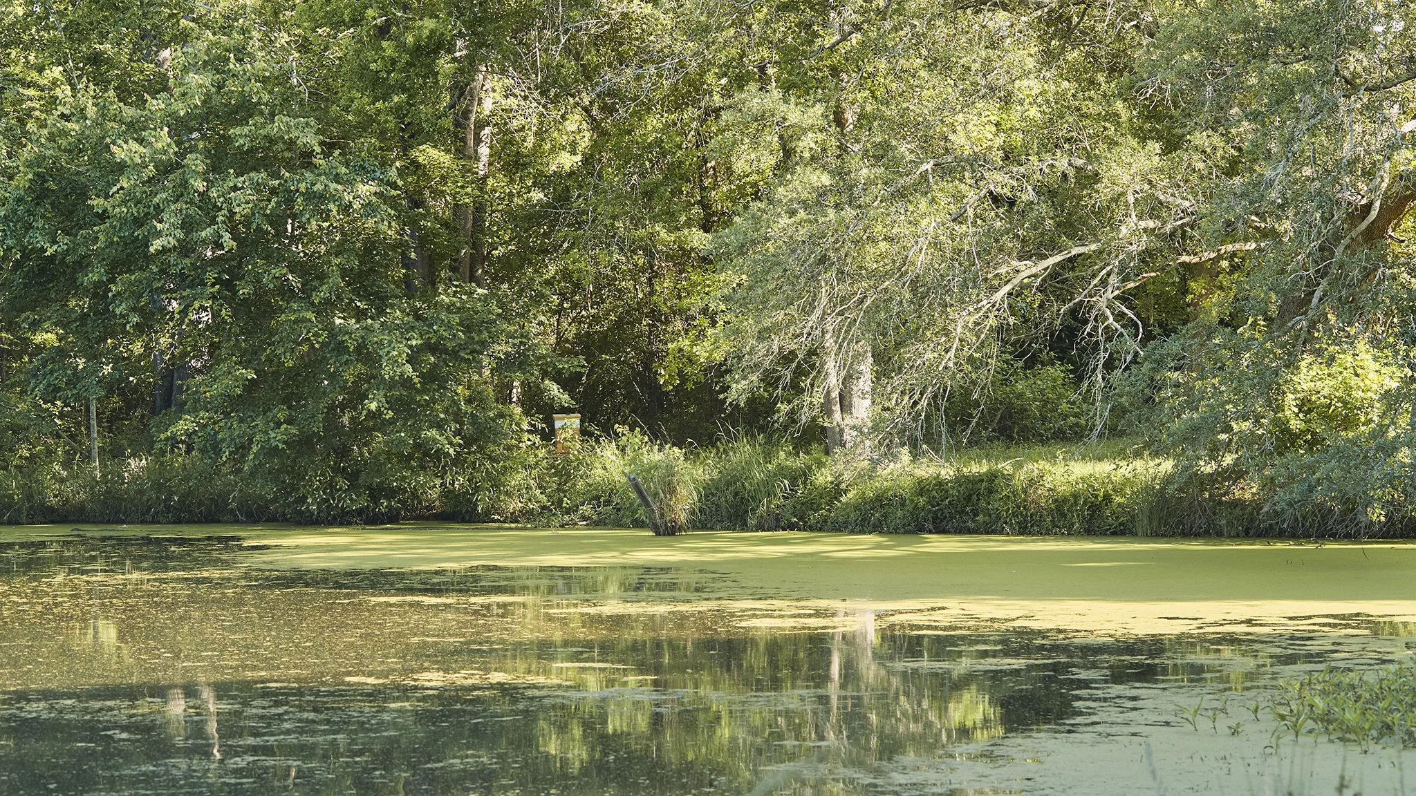 SavBee_Tupelo_Spring24_1193.jpg