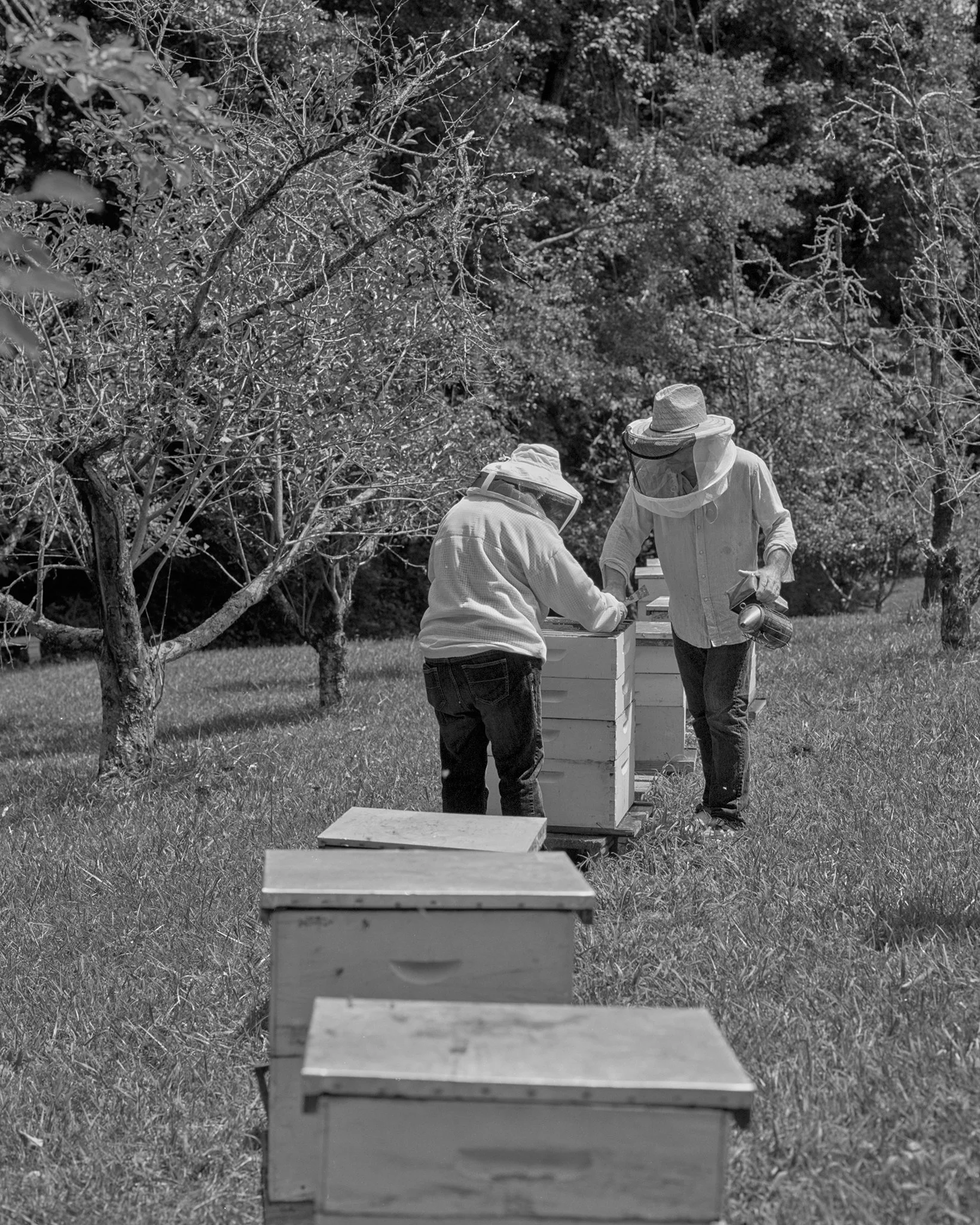 Savannah Bee Co. Film 15.jpg