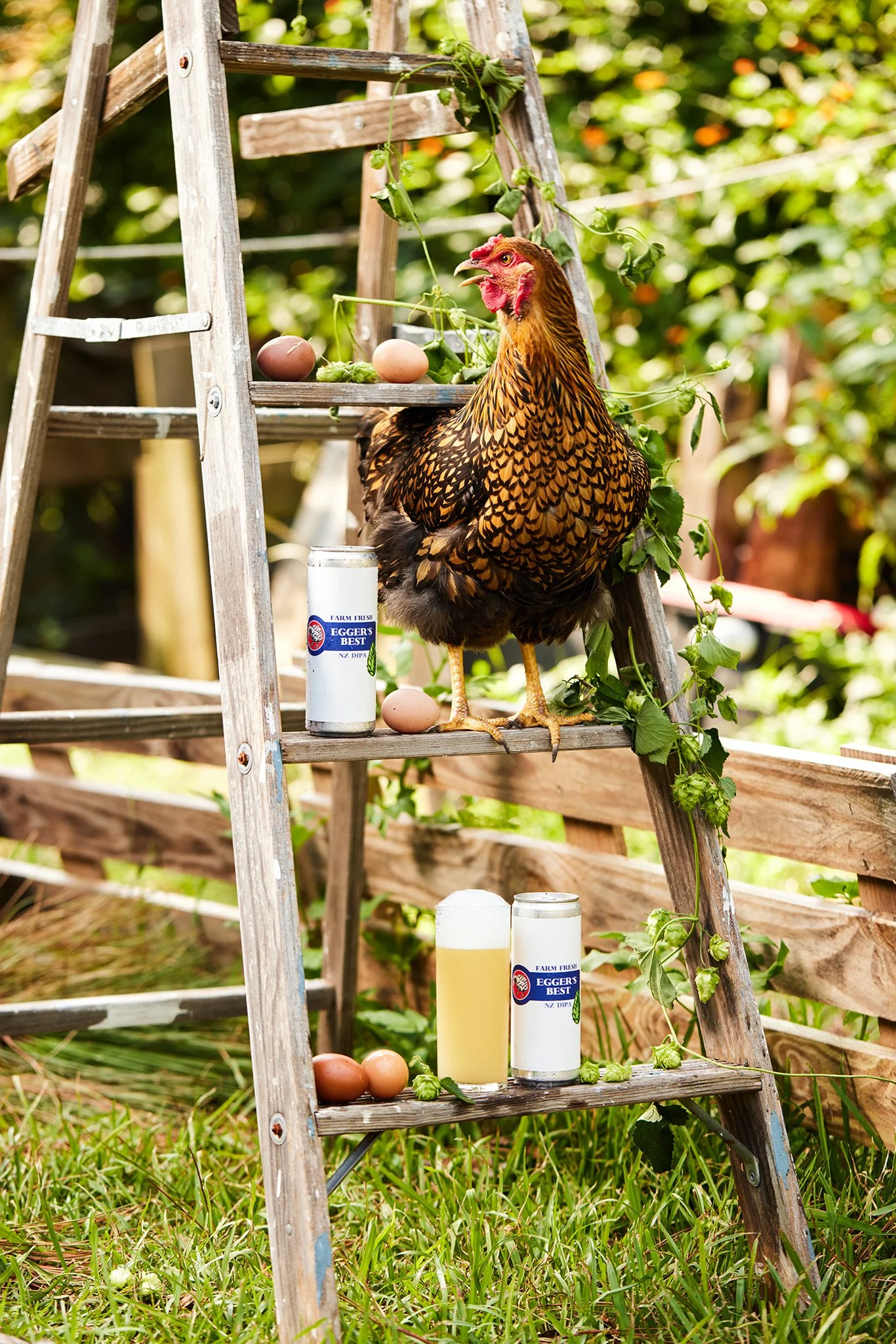 PS_finalTT3379 (1).jpg