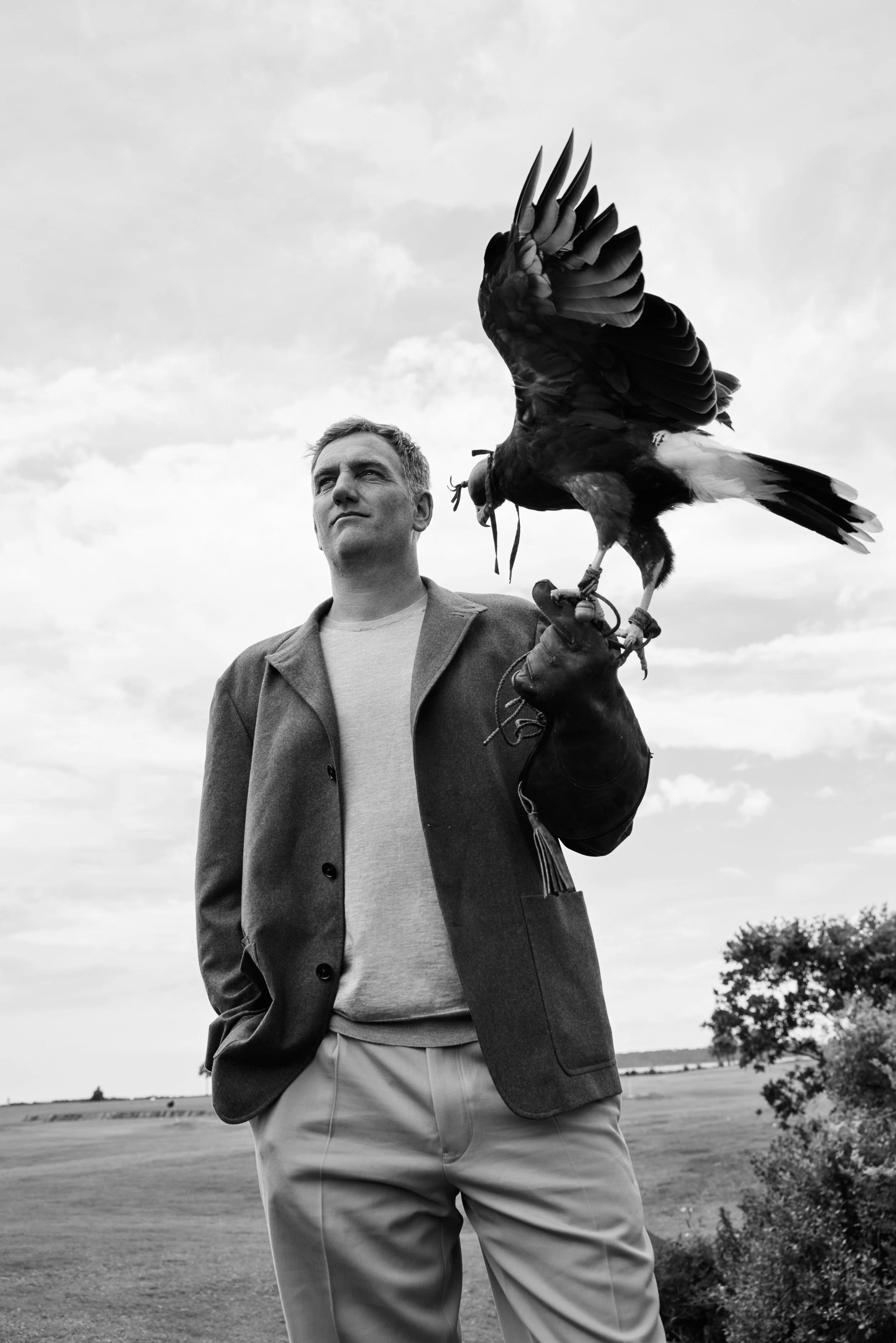 Falconry 3 (1) copy.jpg