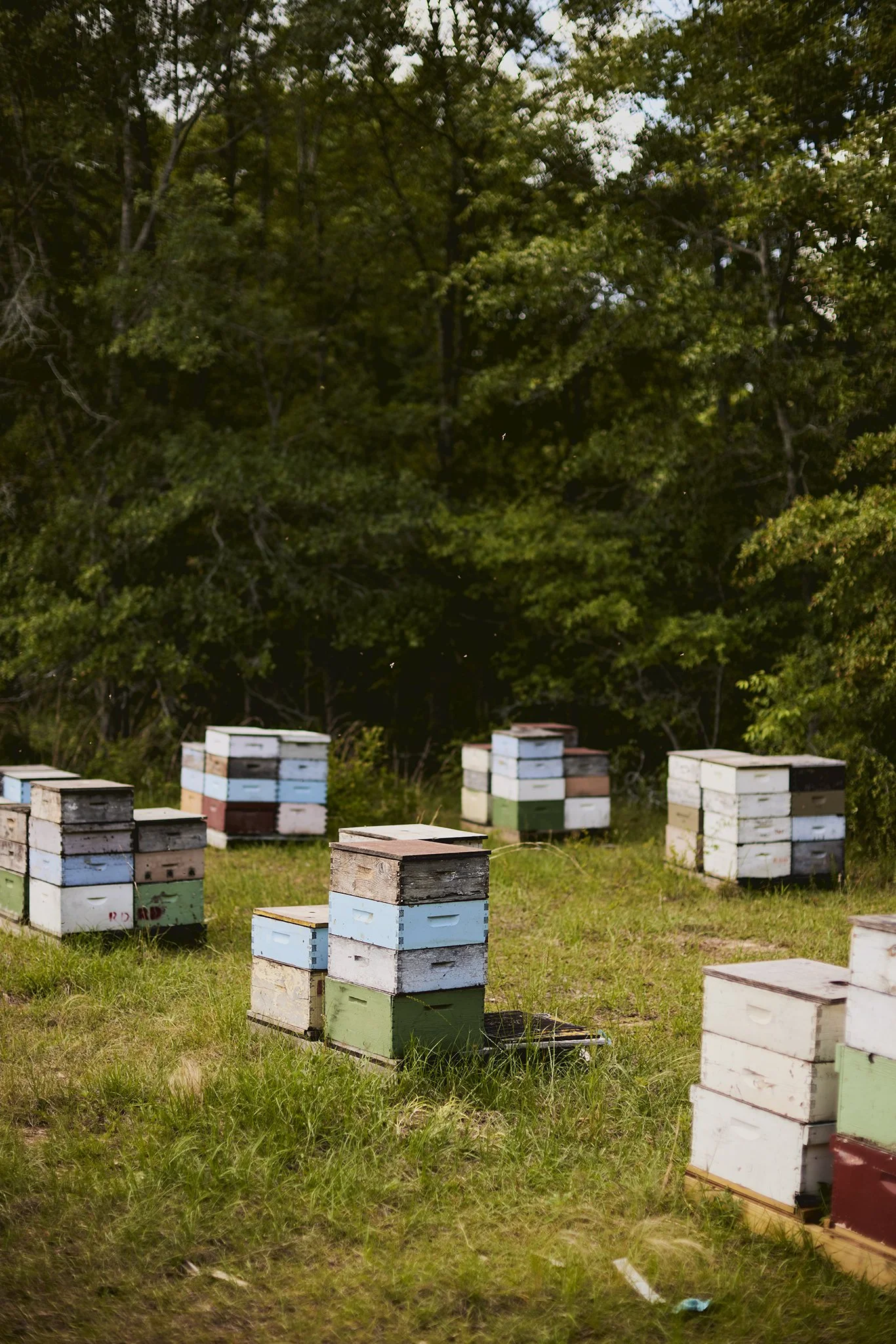 SavBee_Tupelo_Spring24_072.jpg