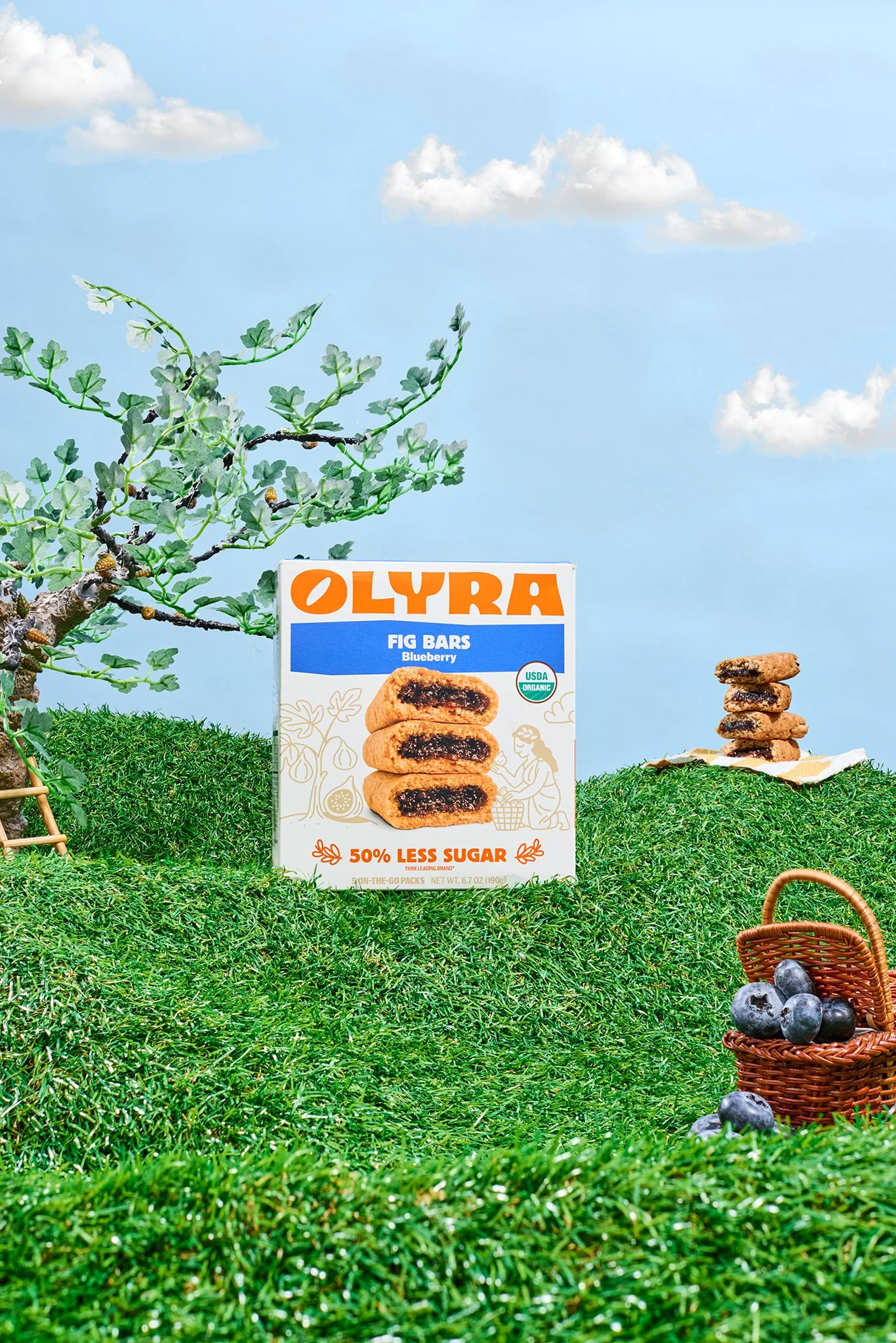 Olyra_Studio_188_clouds (2).jpg