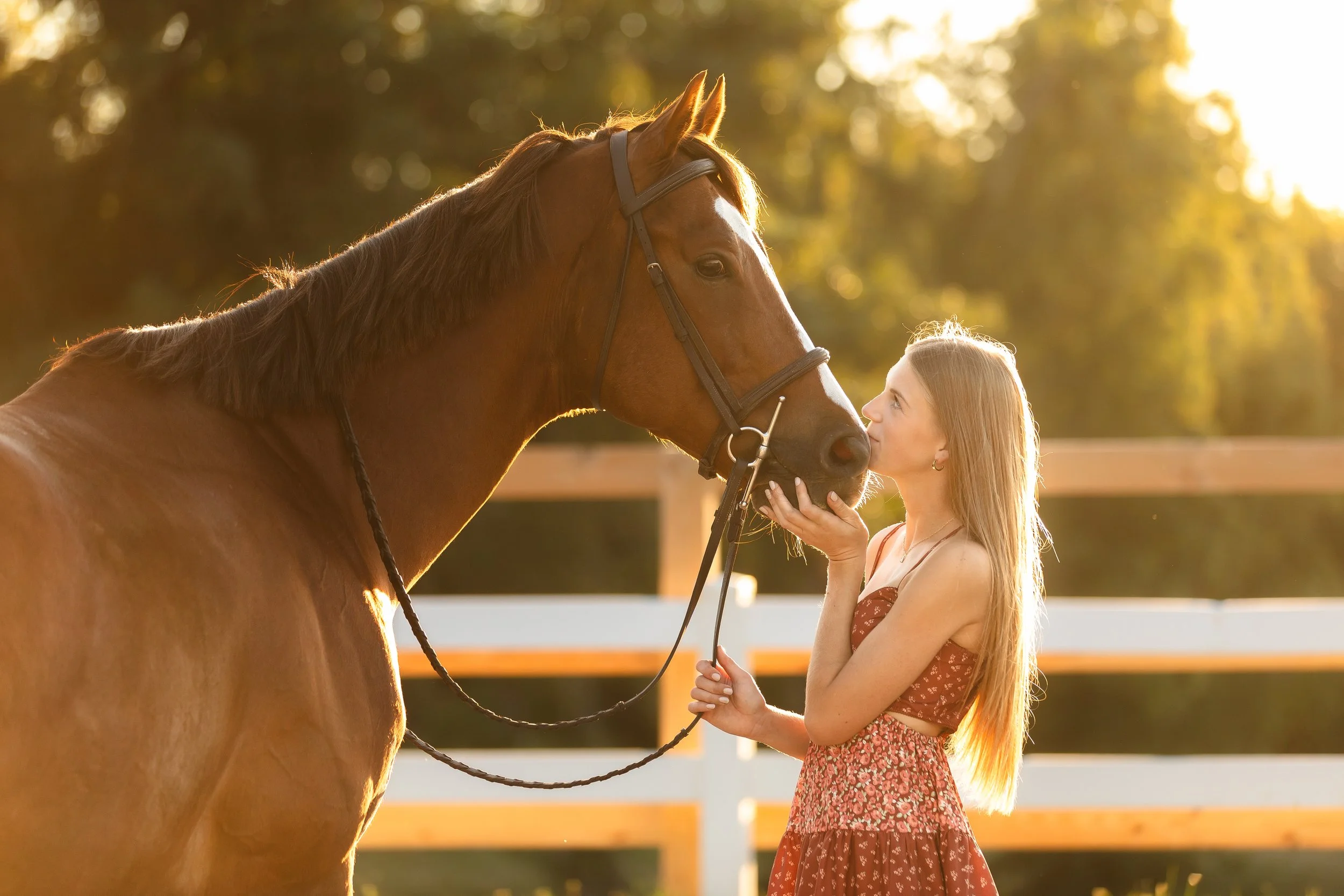 horse and rider portraits st louis missouri 6.jpg