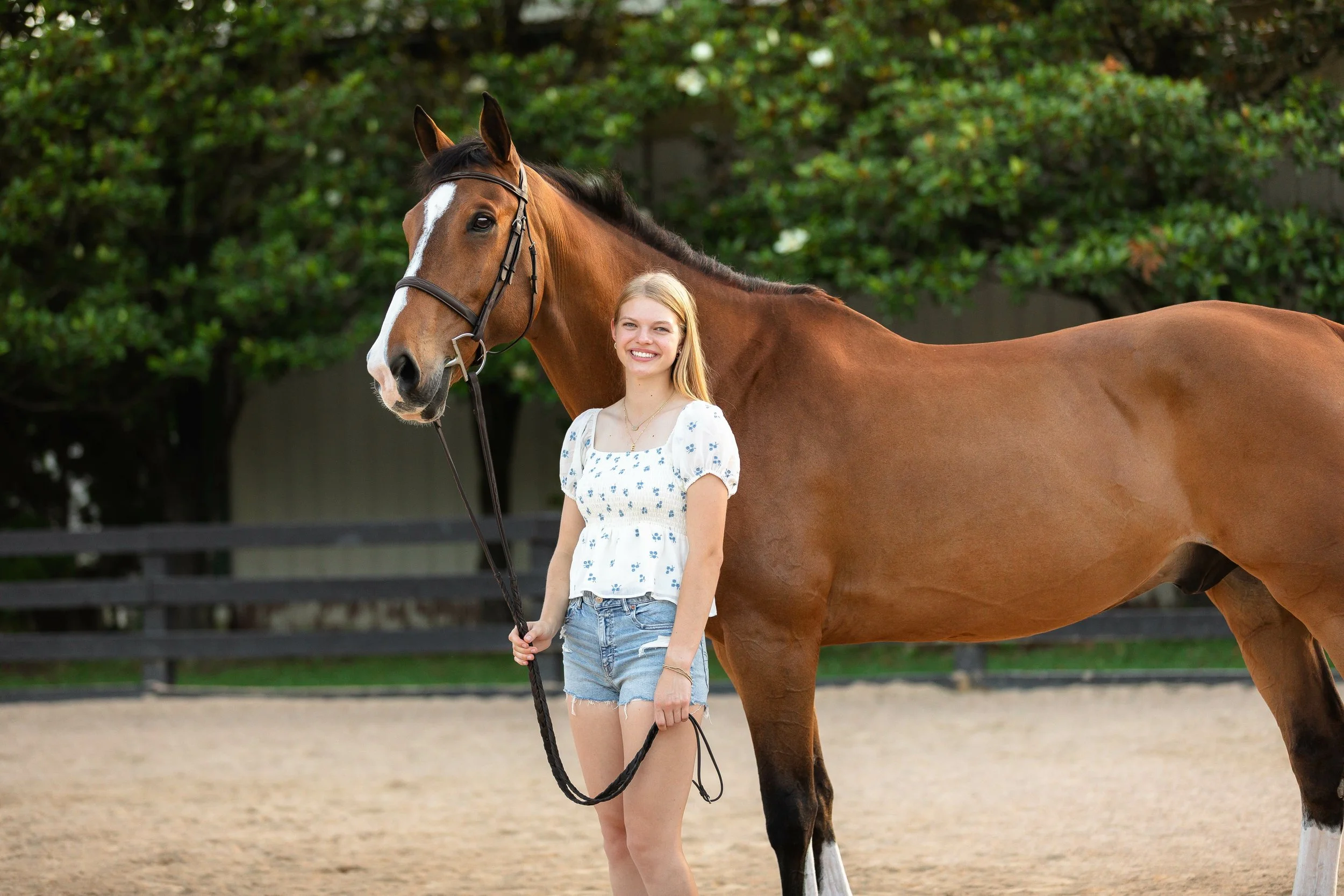 st-louis-equine-canine-photographer-11-2ce991853abd6d2283cd7cc85c90c15f.jpg