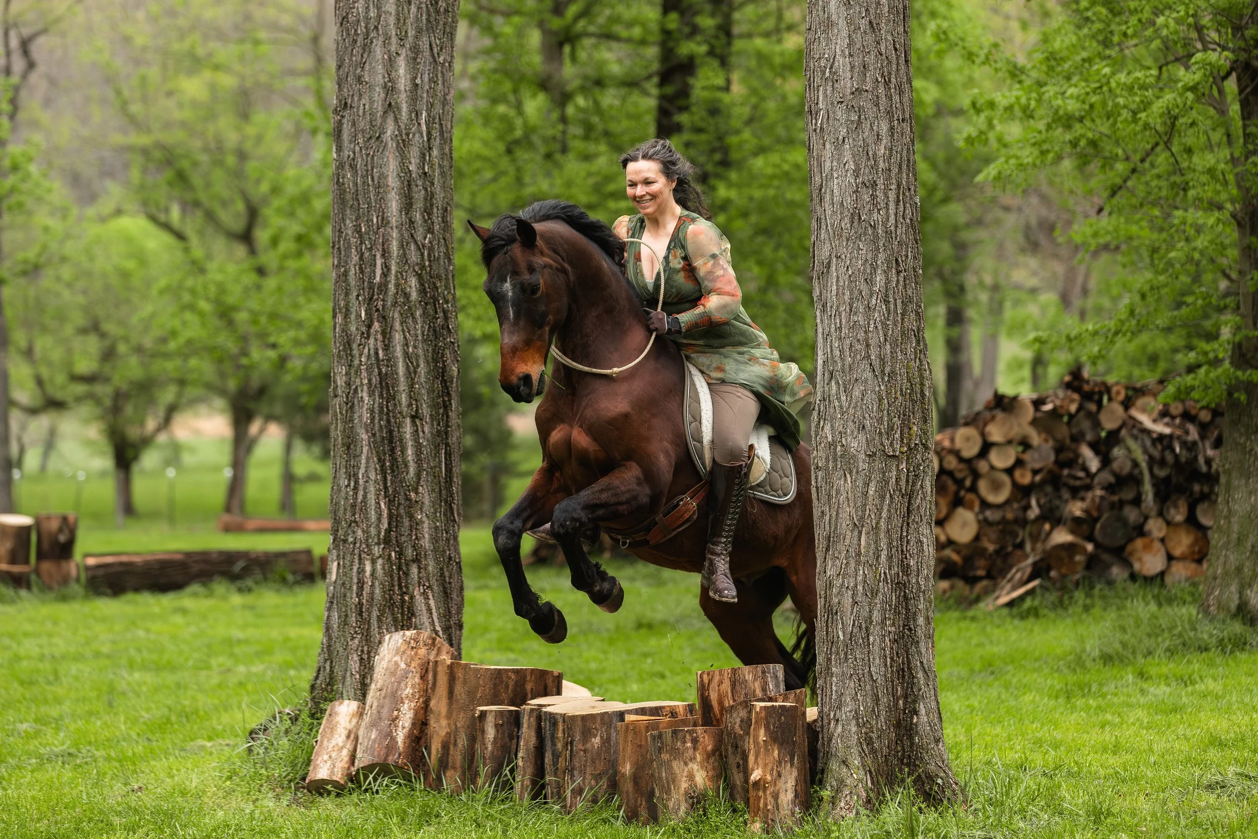 Best of 2025 - Horse &amp; Rider + Canine Portaits