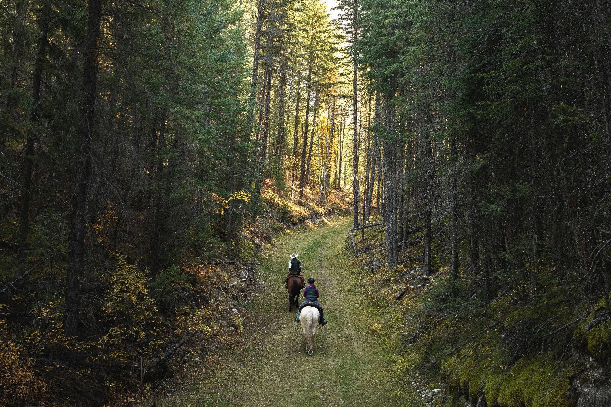 2025 Personal Travel Highlights