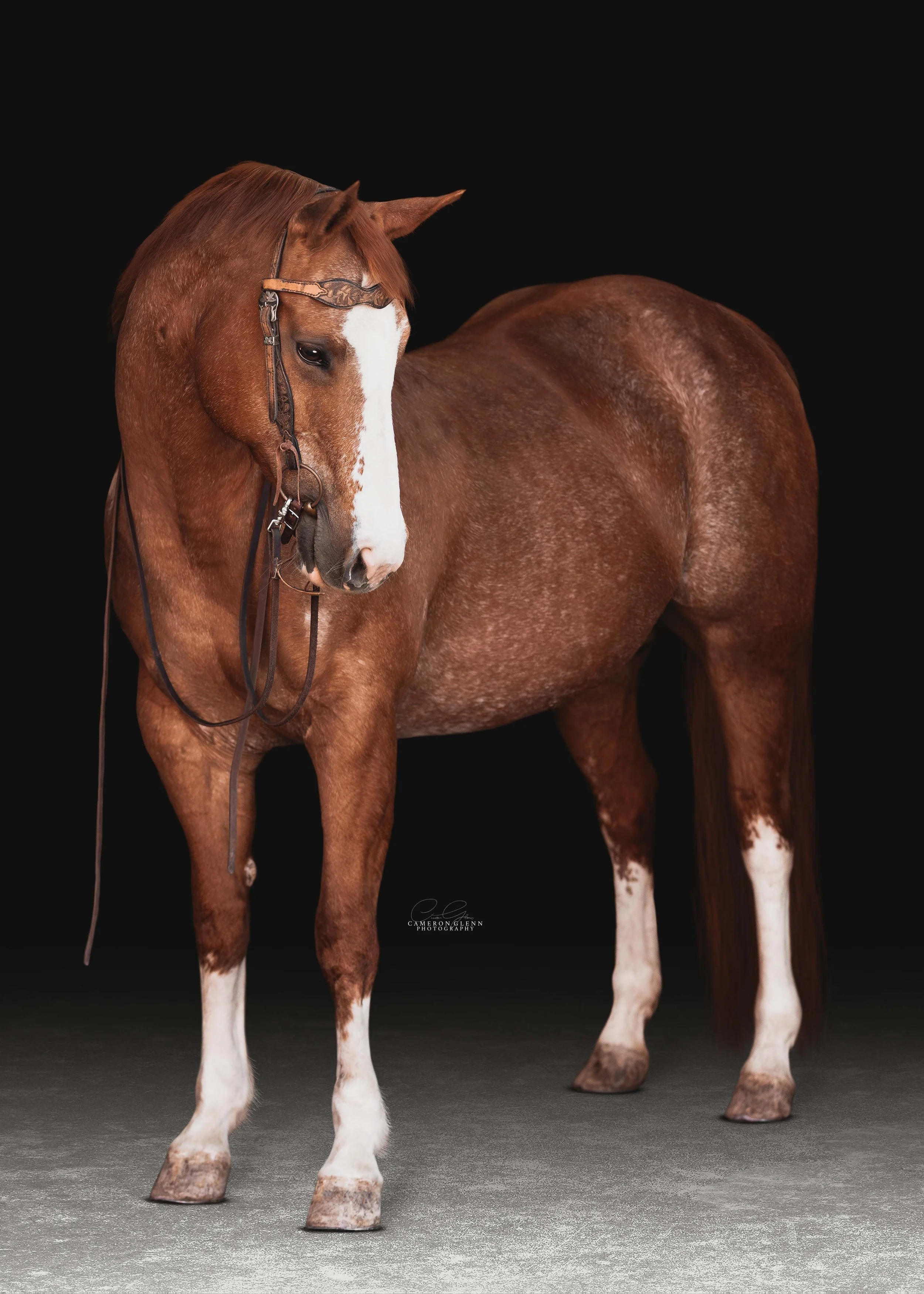 mary-scout-april26-cgp-3.jpg