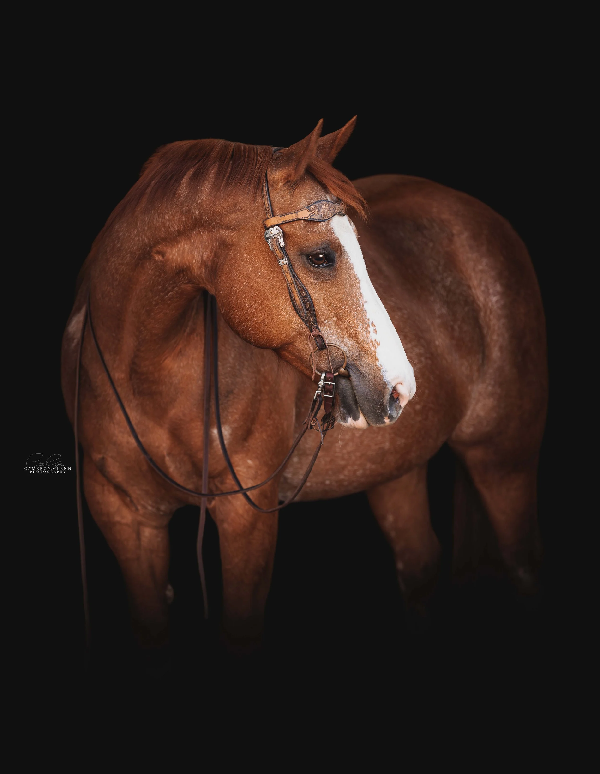 mary-scout-april26-cgp-5.jpg