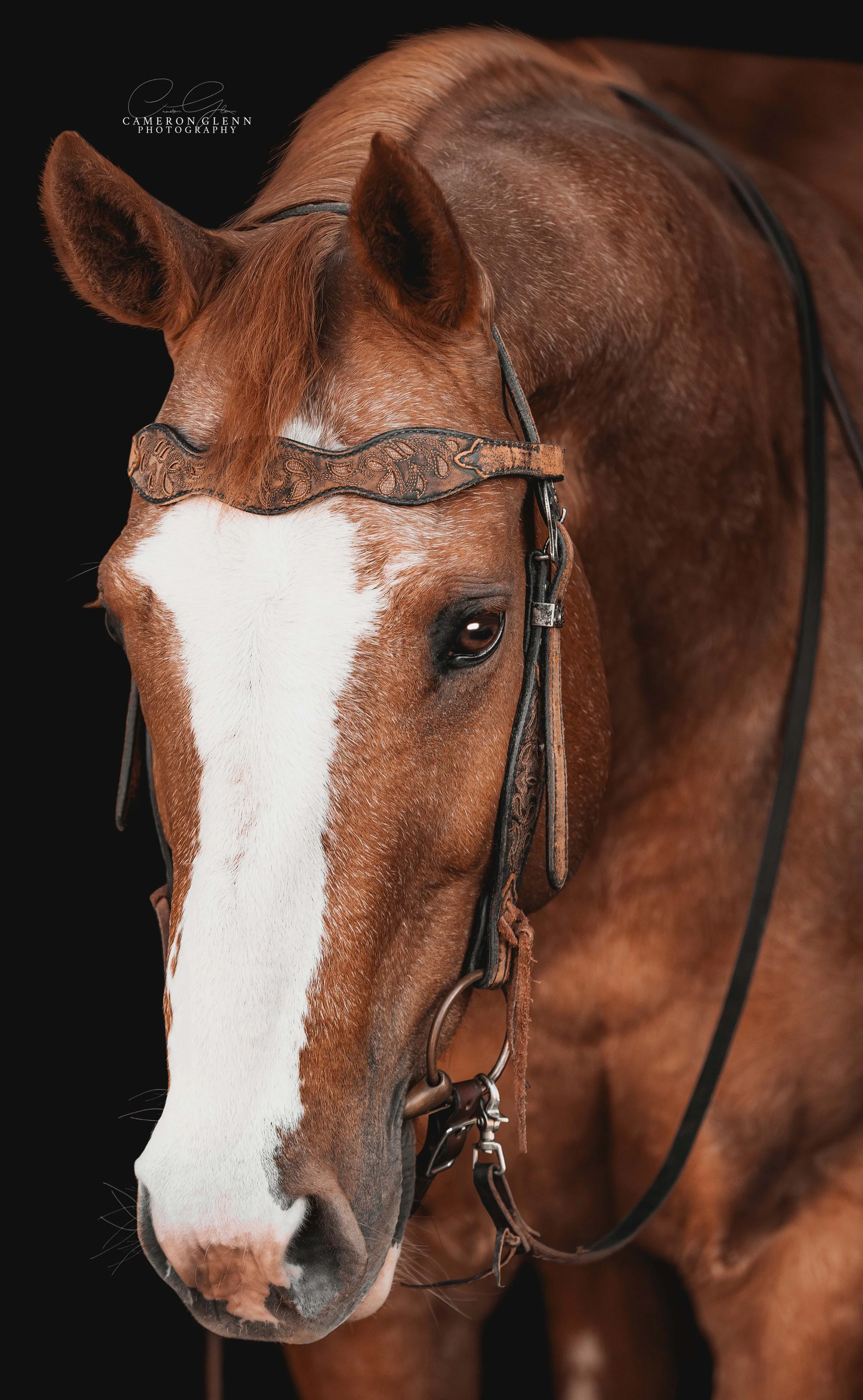 mary-scout-april26-cgp-6.jpg