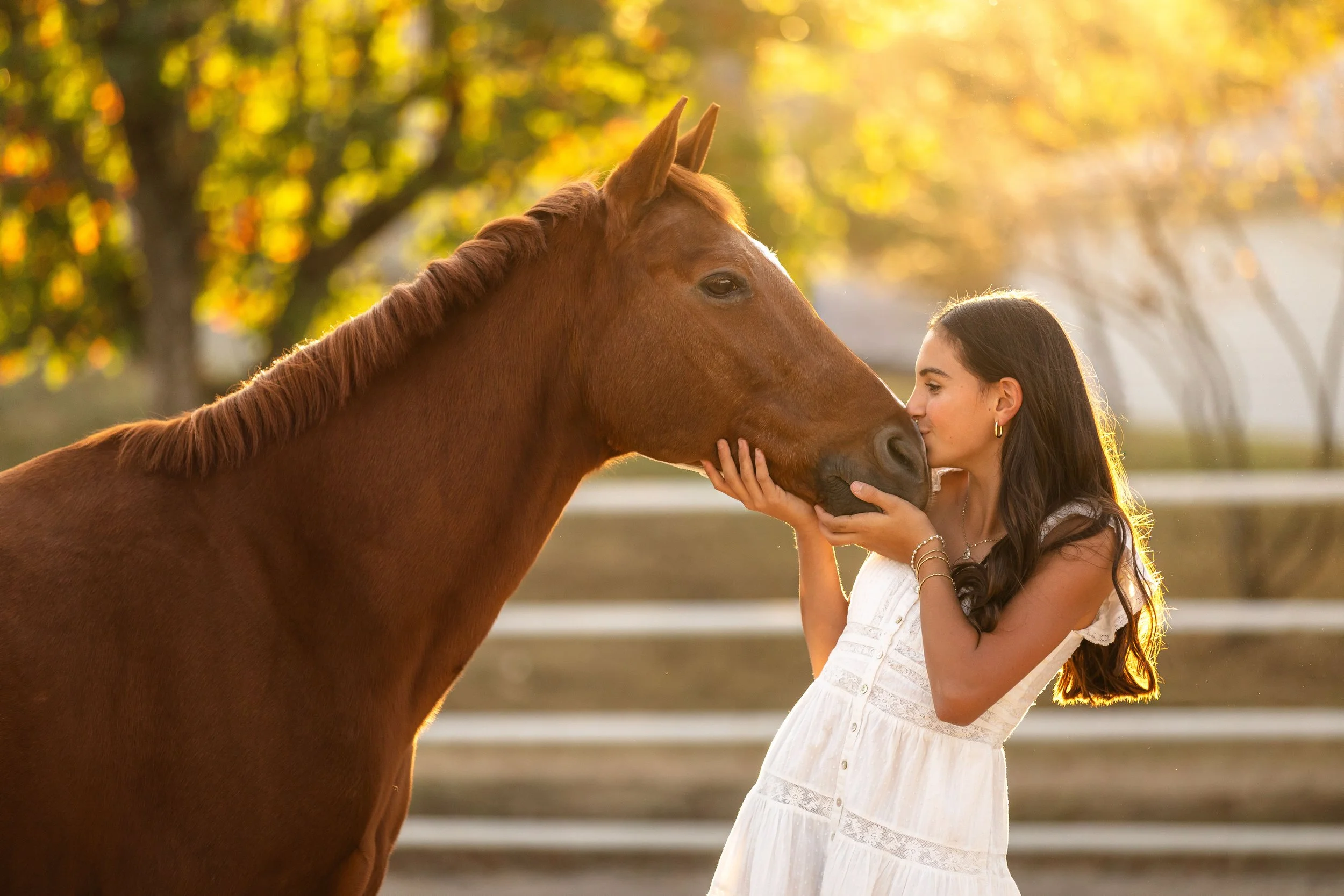 horse and rider portraits st louis missouri 1.jpg
