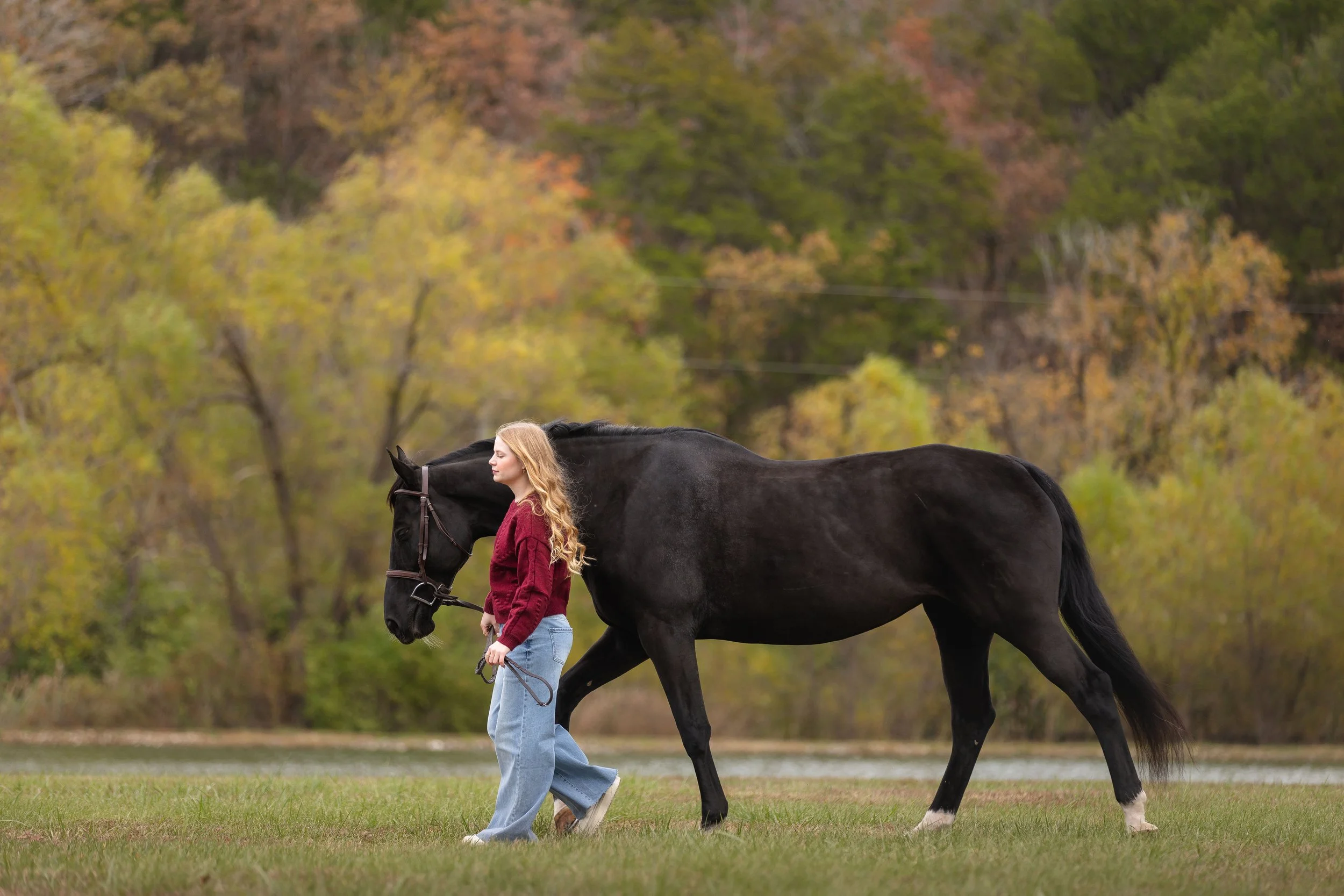 horse and rider portraits st louis missouri 11.jpg