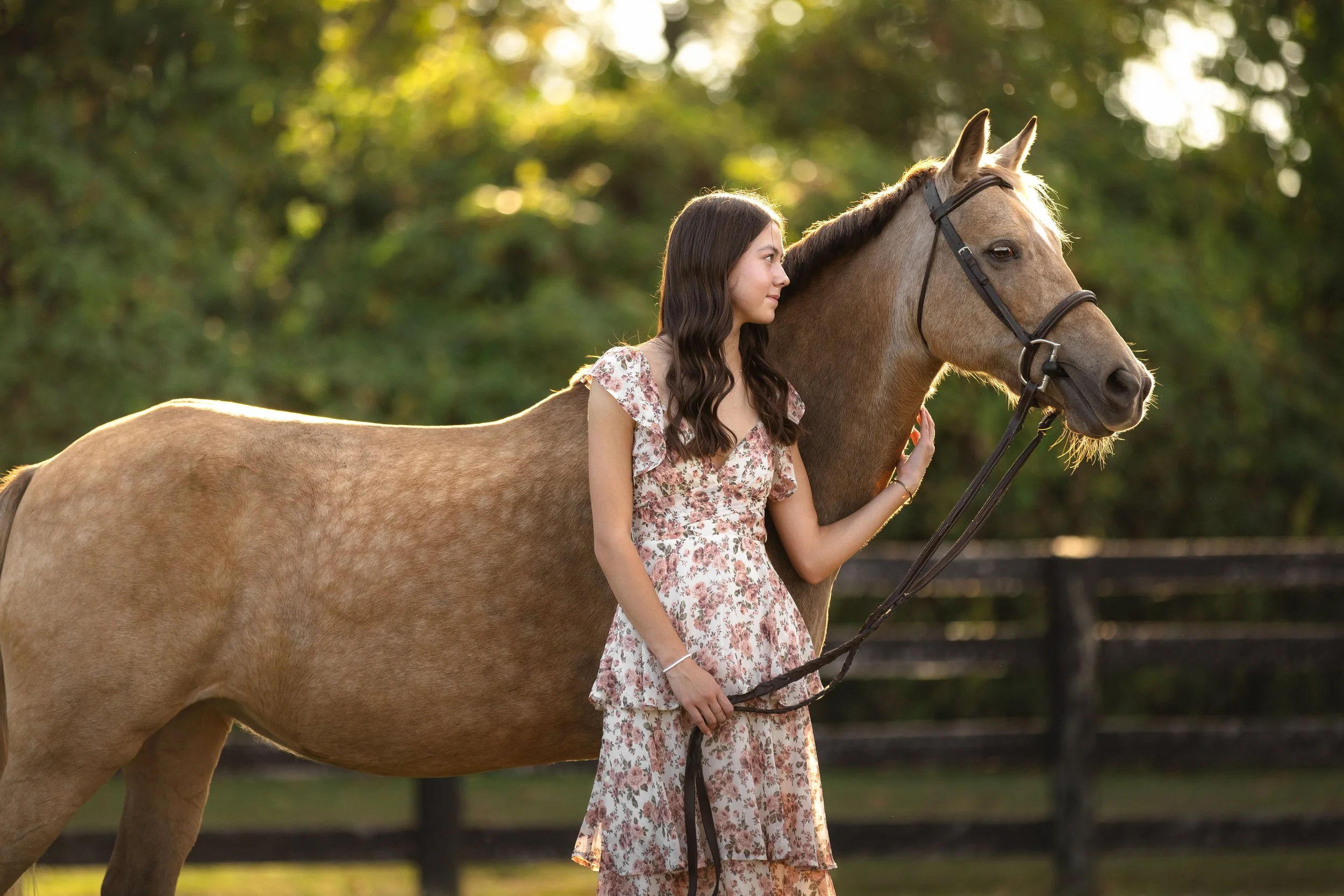 horse and rider portraits st louis missouri 2.jpg