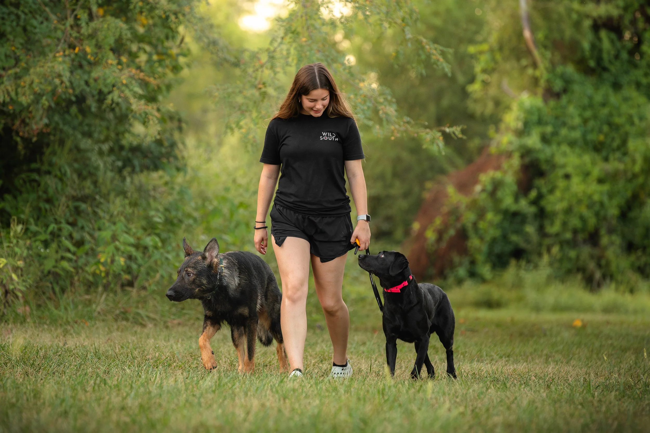 canine-portraits-st-louis-3.jpg