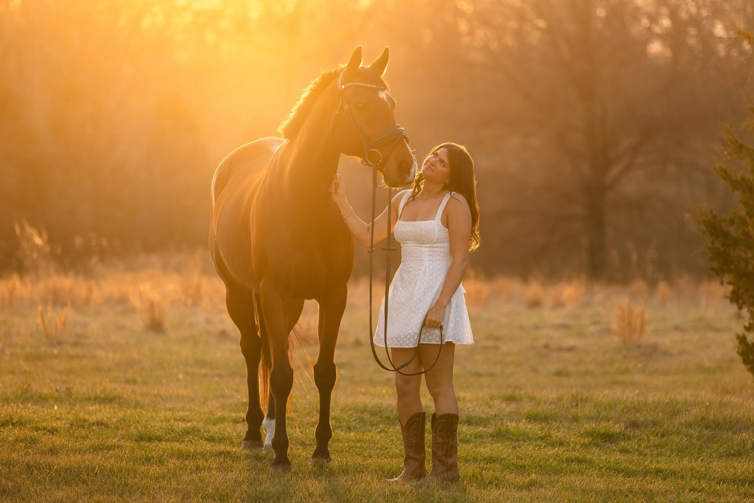 horse and rider portraits st louis missouri 12.jpg