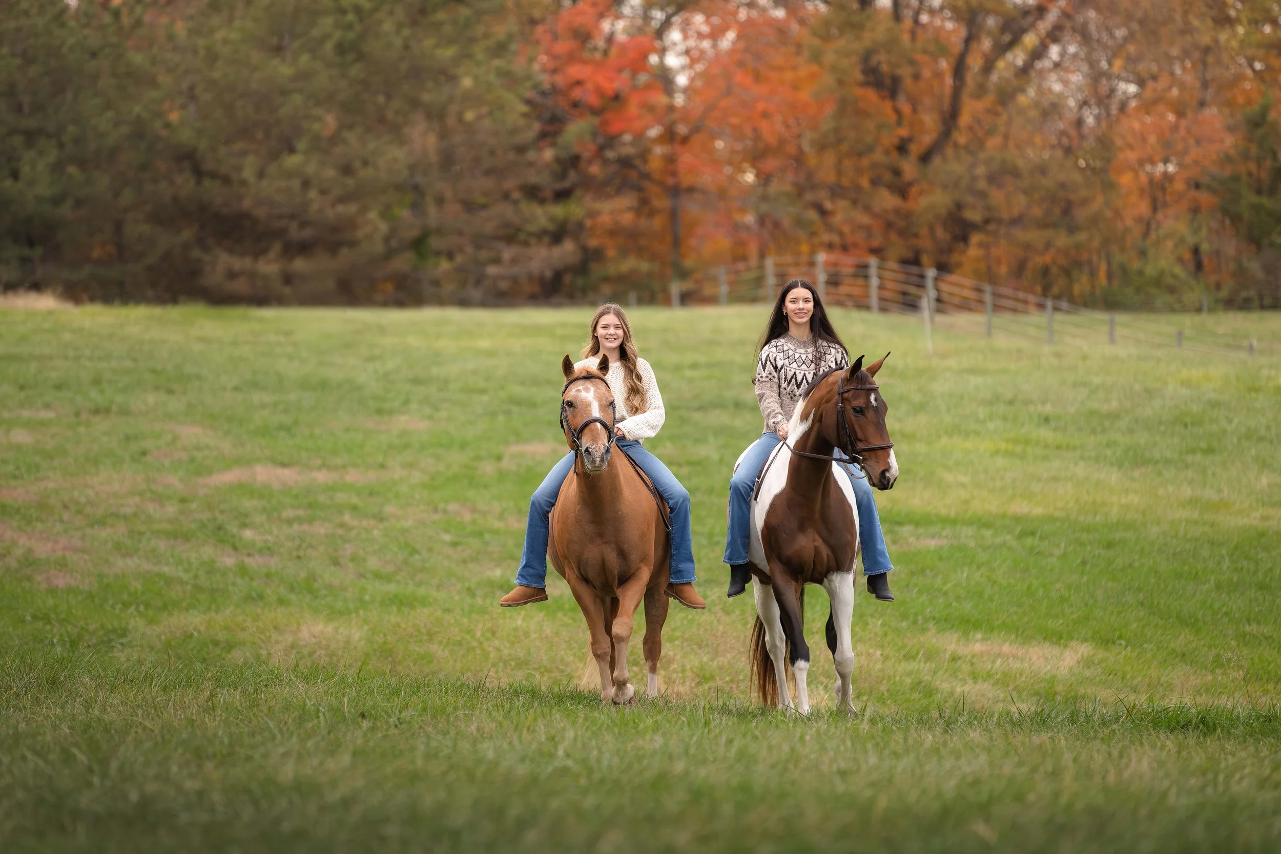 horse and rider portraits st louis missouri 8.jpg