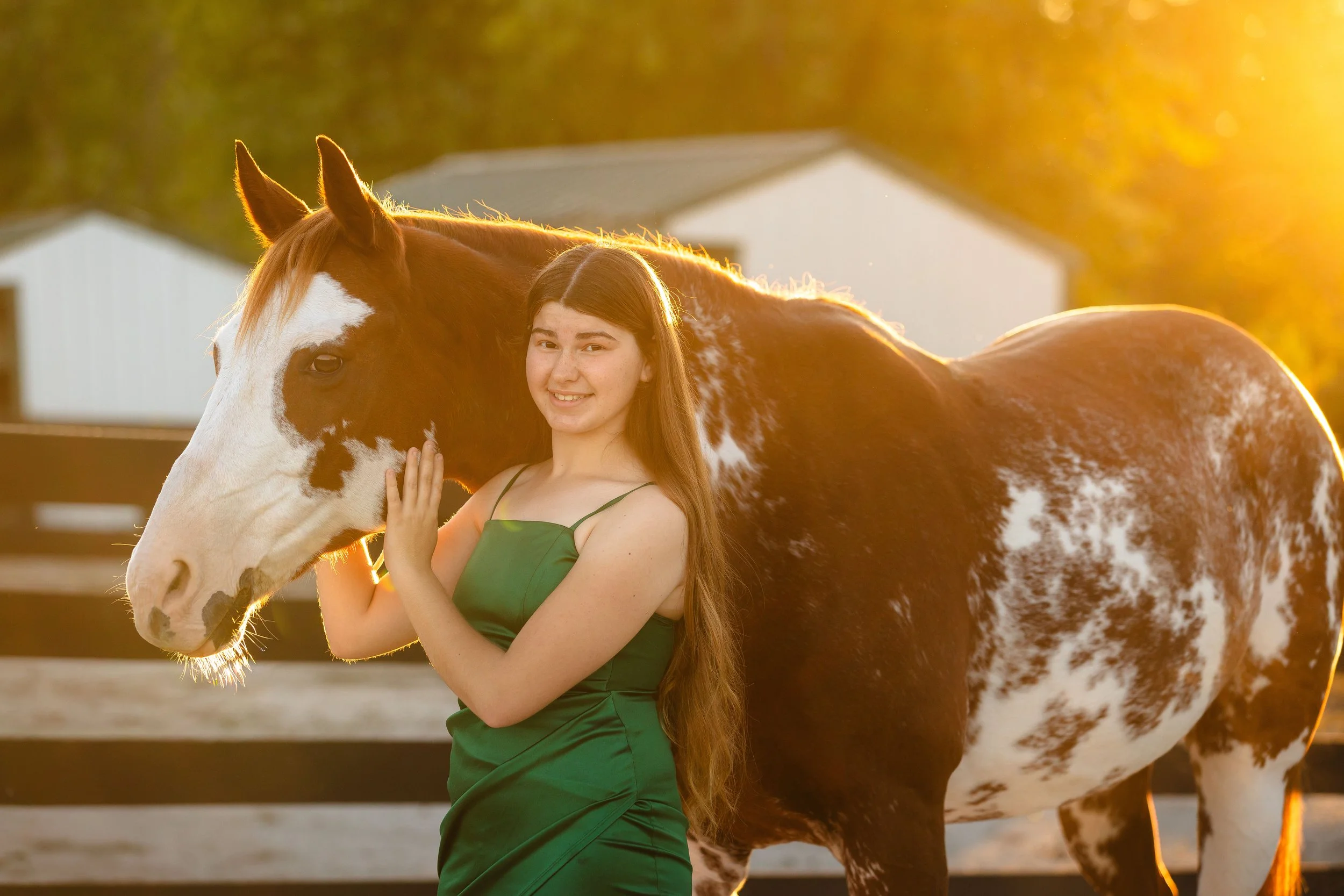 horse and rider portraits st louis missouri 3.jpg