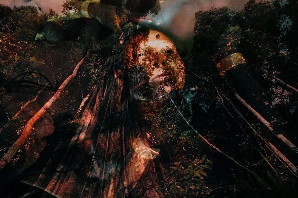 Deichtorhallen | PHOXXI