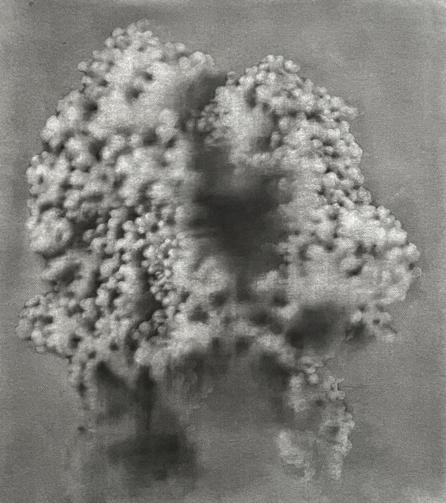 Bildschirmfoto 2024-04-09 um 17.07.01.png