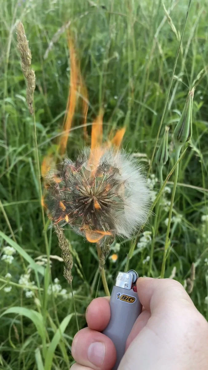 I'm Angry, Just Not Sure About What.