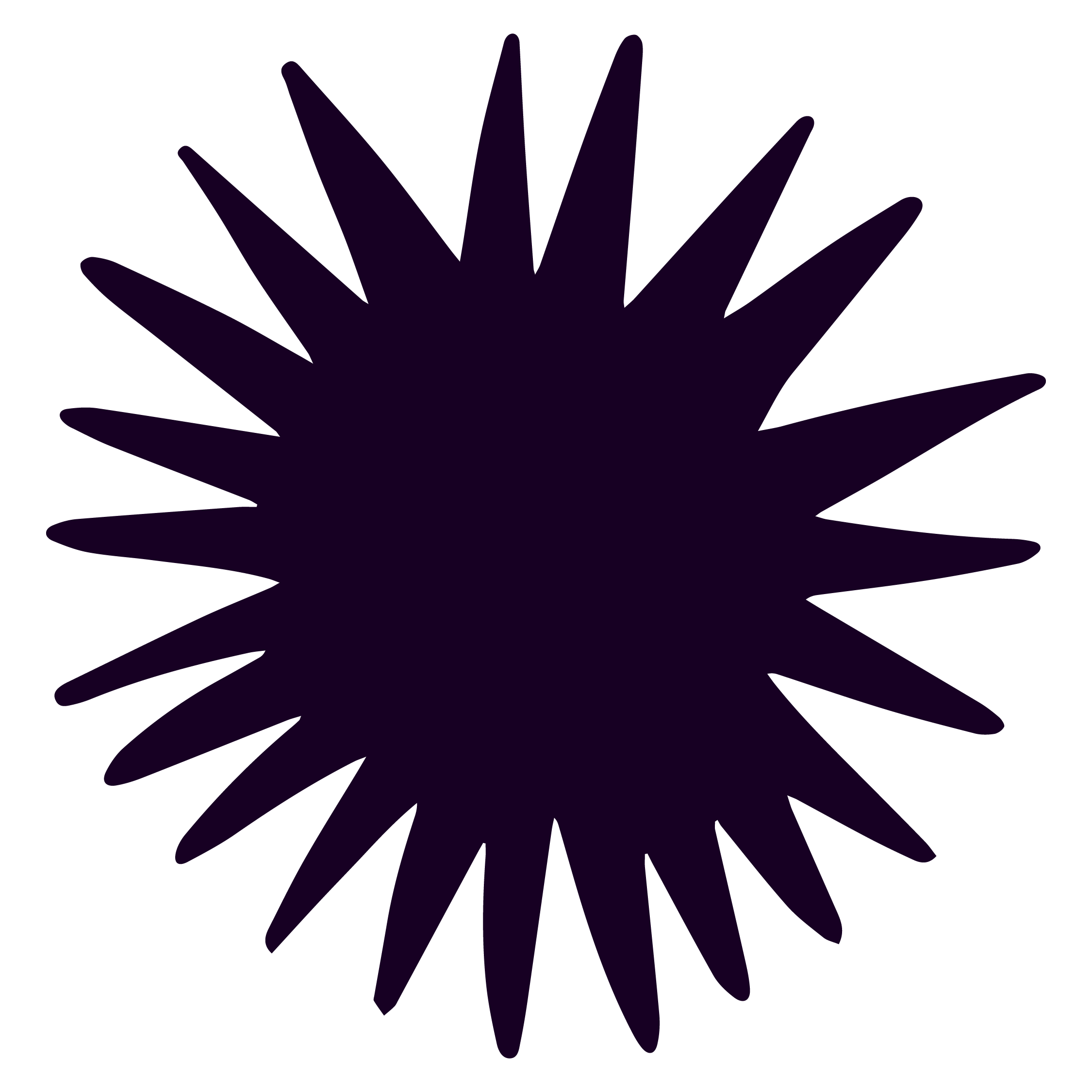 bidule studio graphique graphiste graphisme montpellier occitanie freelance identité visuelle