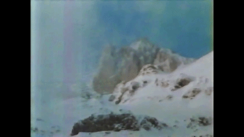 ezgif-39d7f90b2114202d.gif