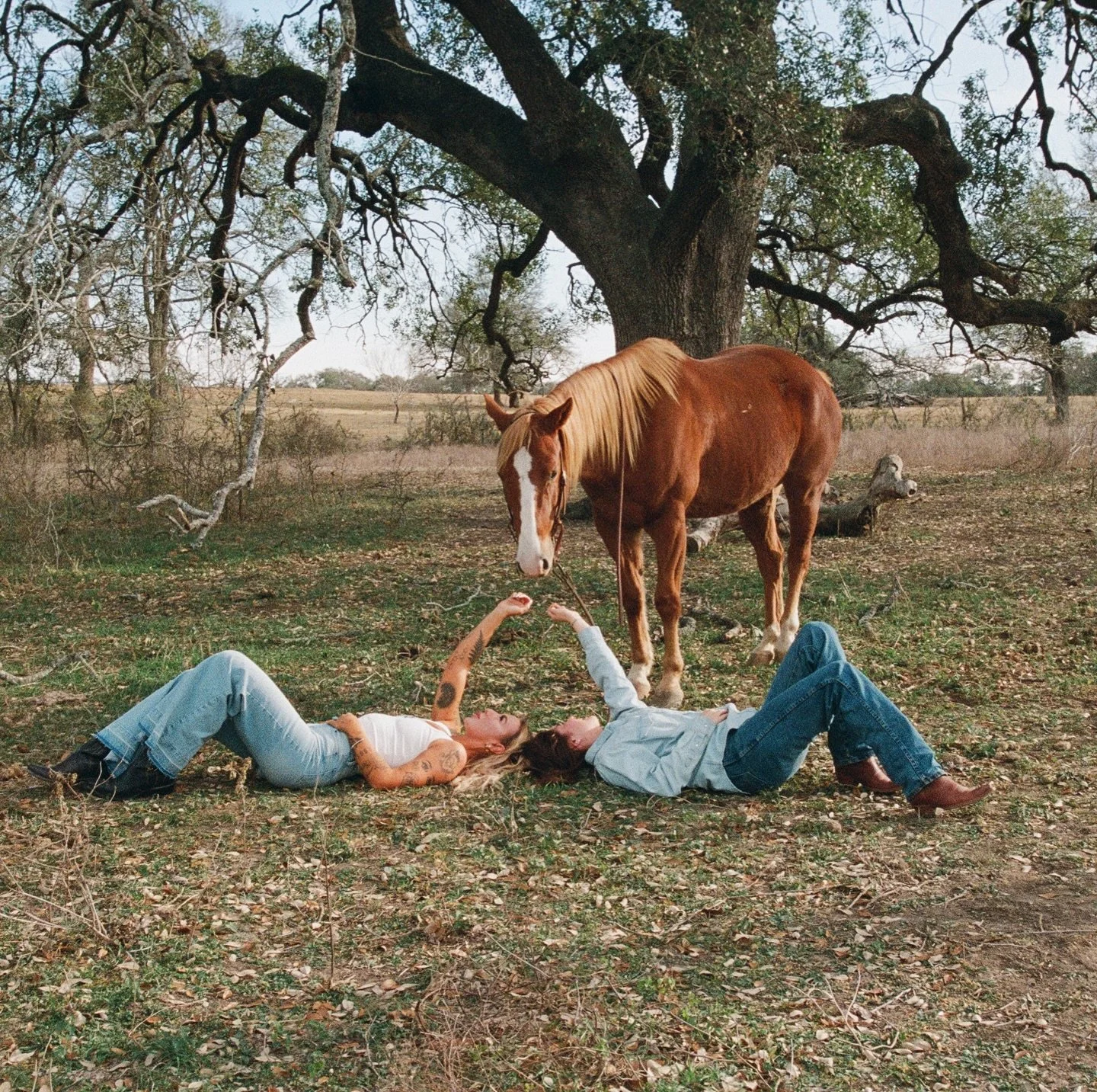 Afternoons on film 

@kodak @kodakprofessional @onehrfilm