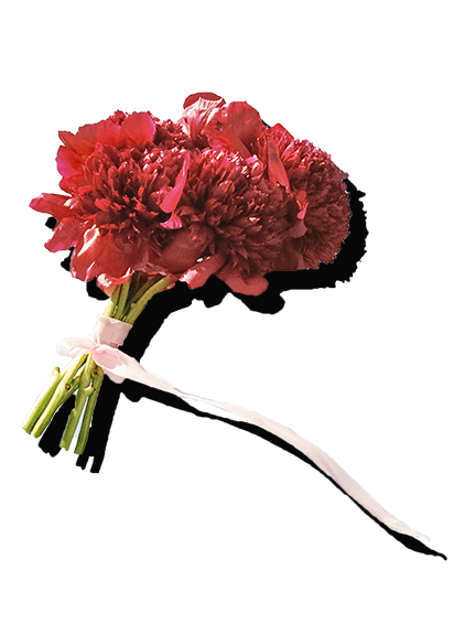 Red carnation flower bouquet tied with a white ribbon.