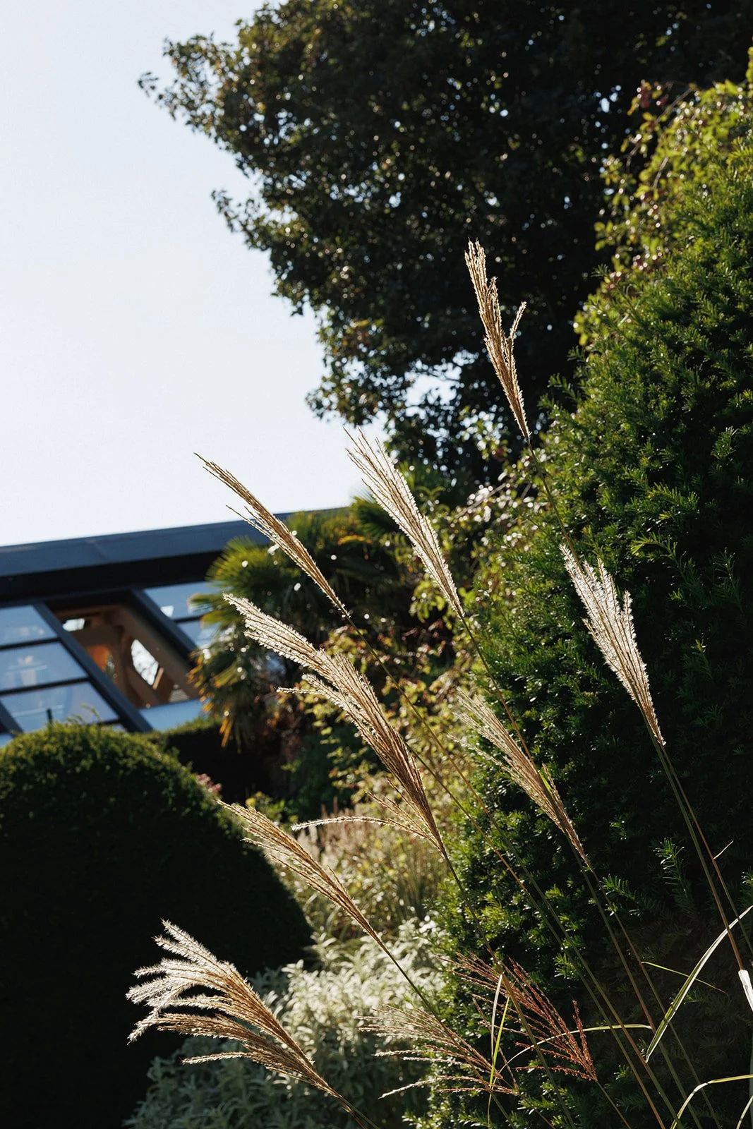 SM Chapel House Estate-104_websize.jpg