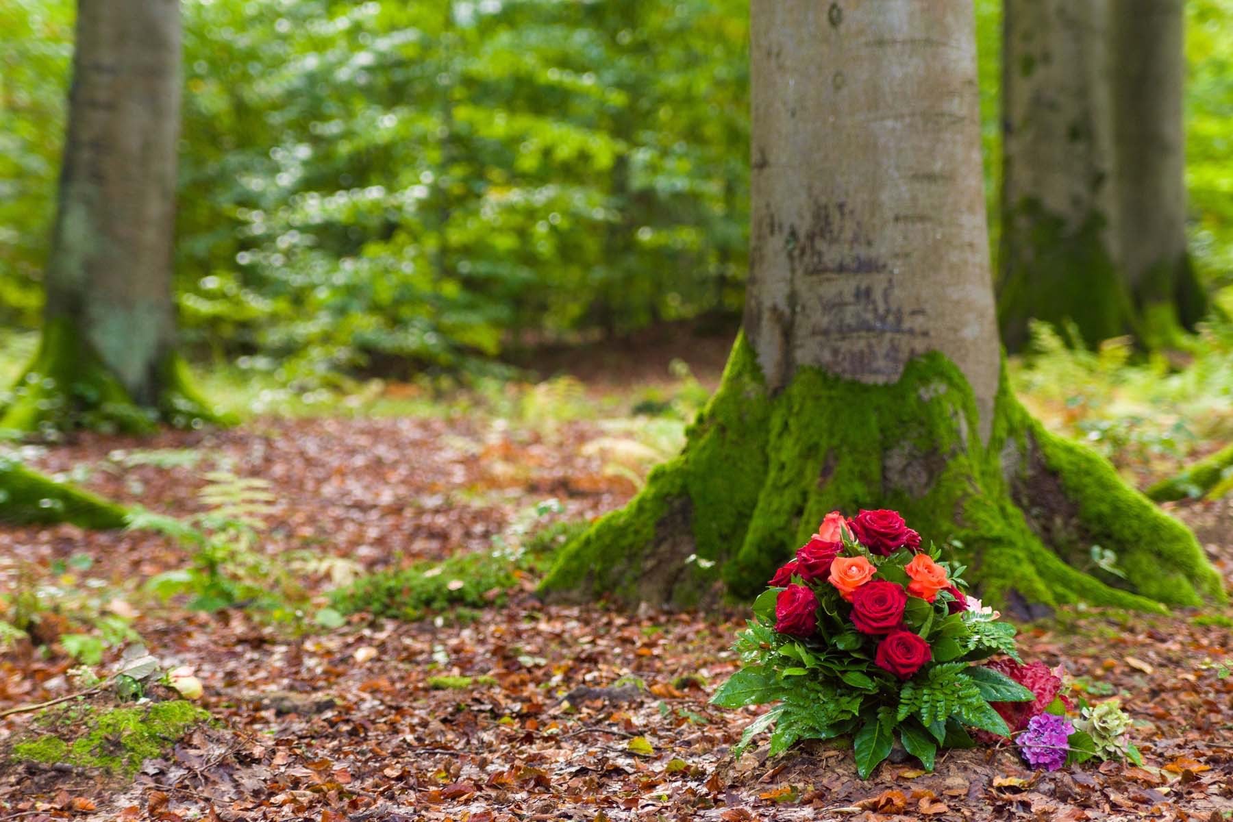 SUSTAINABLE BURIALS