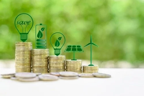 THE ECONOMICS OF RENEWABLE ENERGY